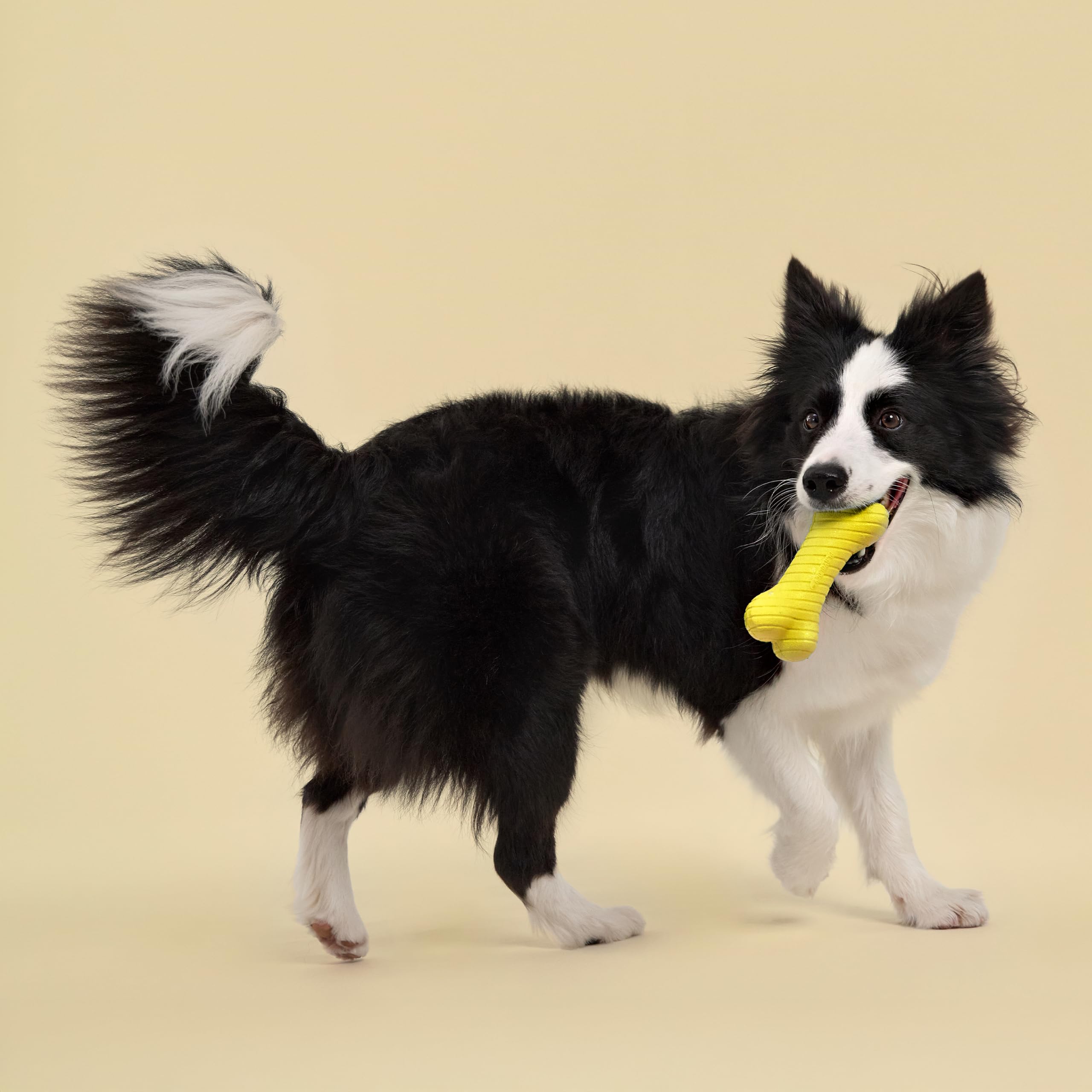 Playology Zweilagiges Knochenspielzeug – ansprechendes Hundespielzeug mit natürlichem Huhnduft, groß – Kauen, Werfen, Apportieren und Spielen | Gummi-Konstruktion, natürlicher Duft, robustes Design, verhüllende Dufttechnologie, 22,7 kg plus Rassen, Gelb