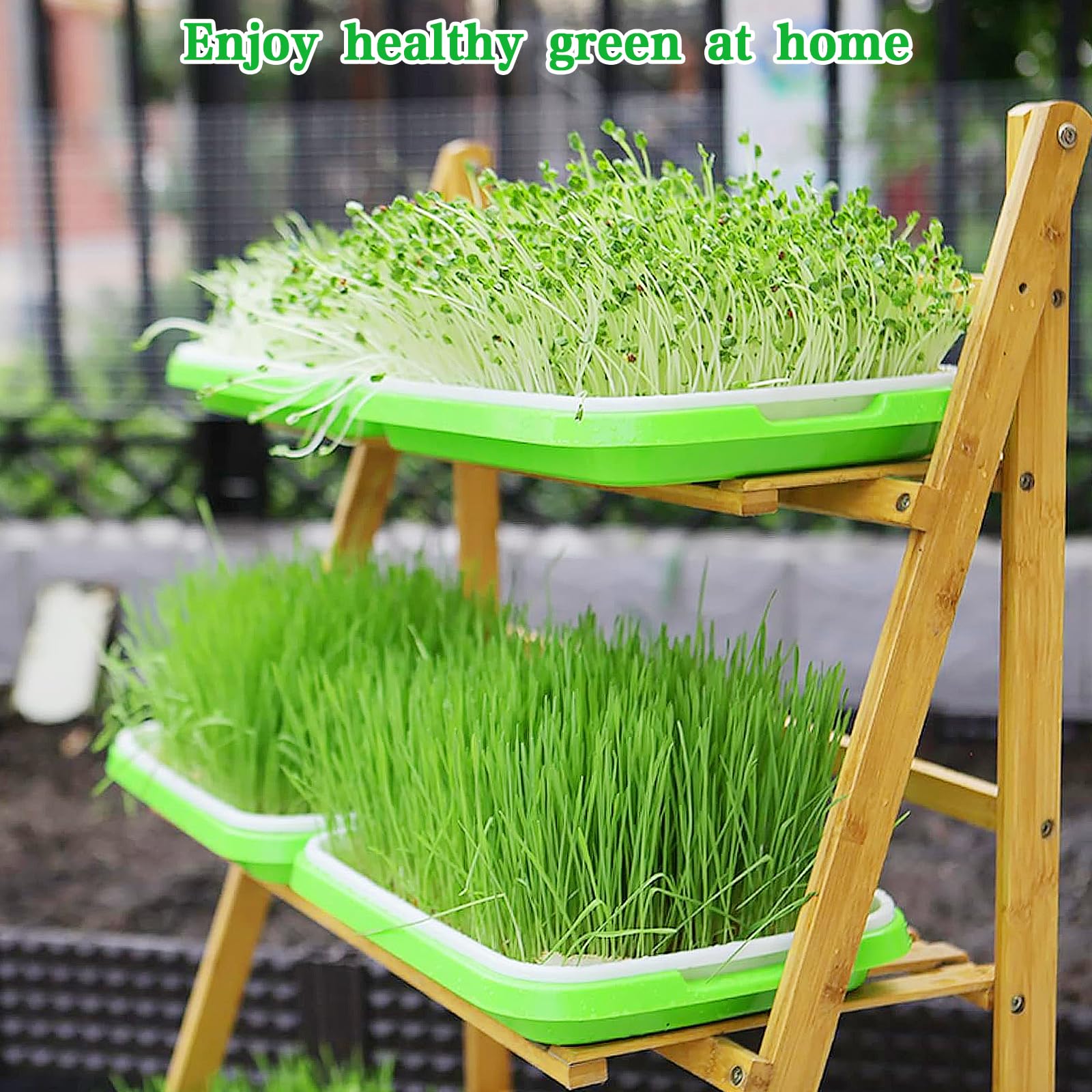 Plateau Culture Graines Bacs à Germination - Lot De 5 - 34x25 Cm