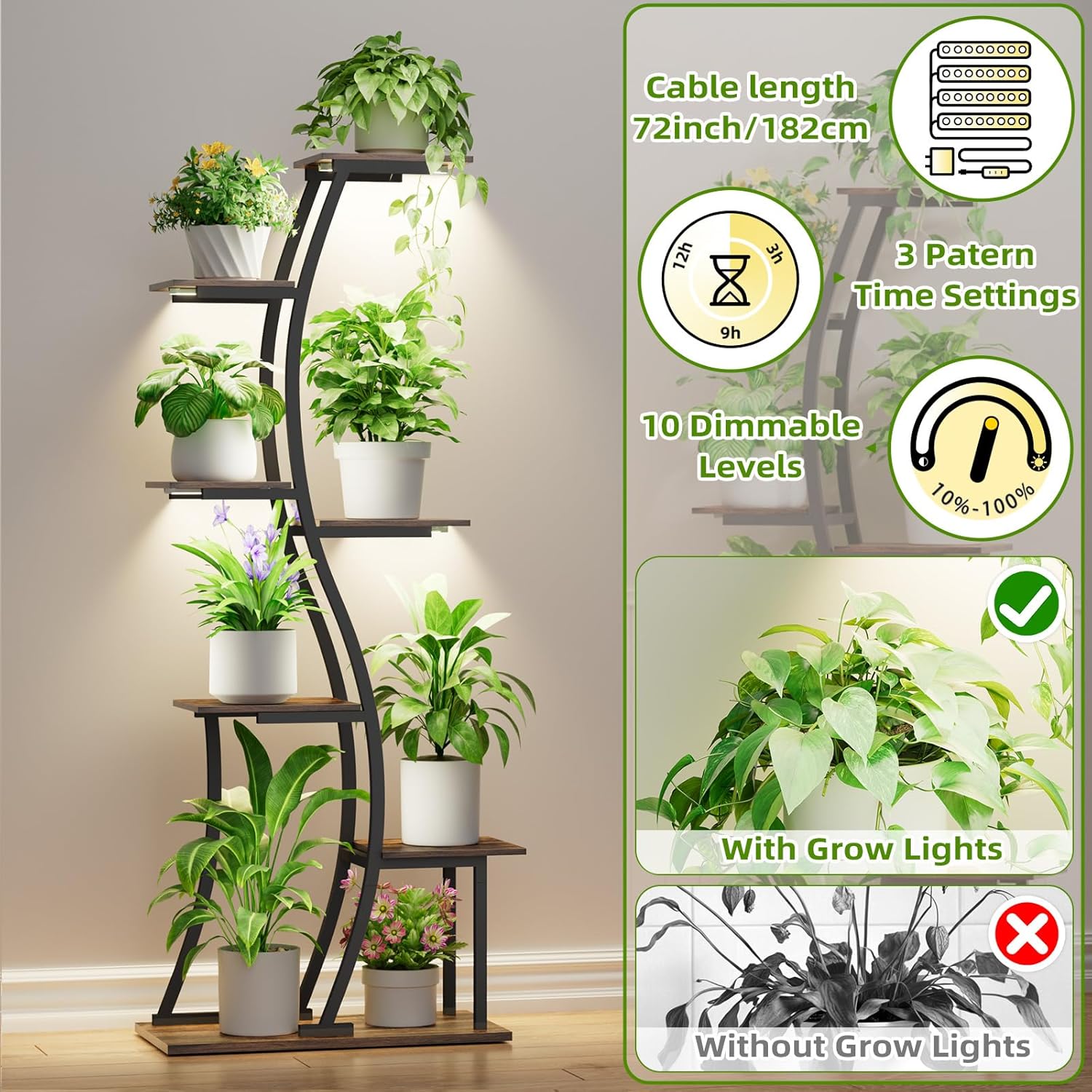 https://m.media-amazon.com/images/I/81+QAZbkFpL._AC_SL1500_.jpg
