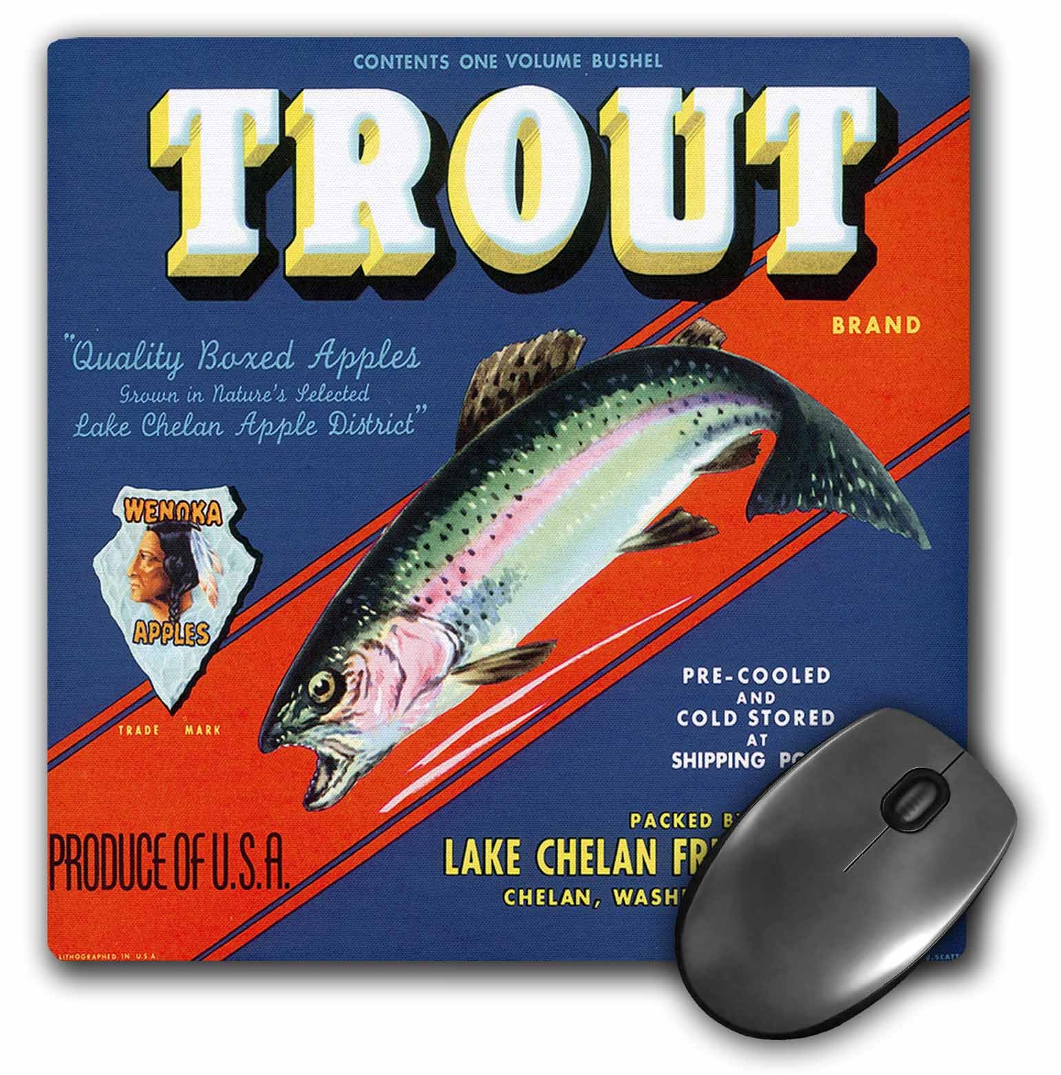 3dRosemp_171142_1 8" x 8" Trout Brand Wenoka Apples with a Rainbow Trout and Native American Mouse Pad