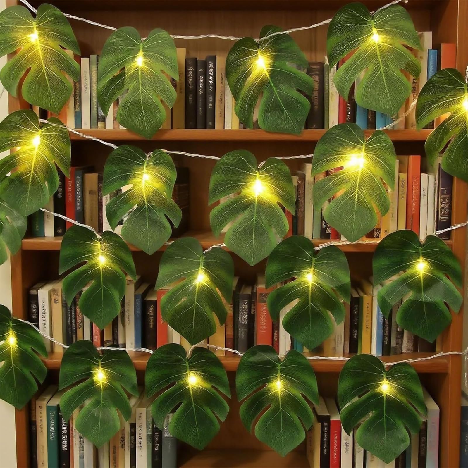 aralia false plant Dizygotheca Elegantissima 'False Aralia' Floor Plant main image 0
