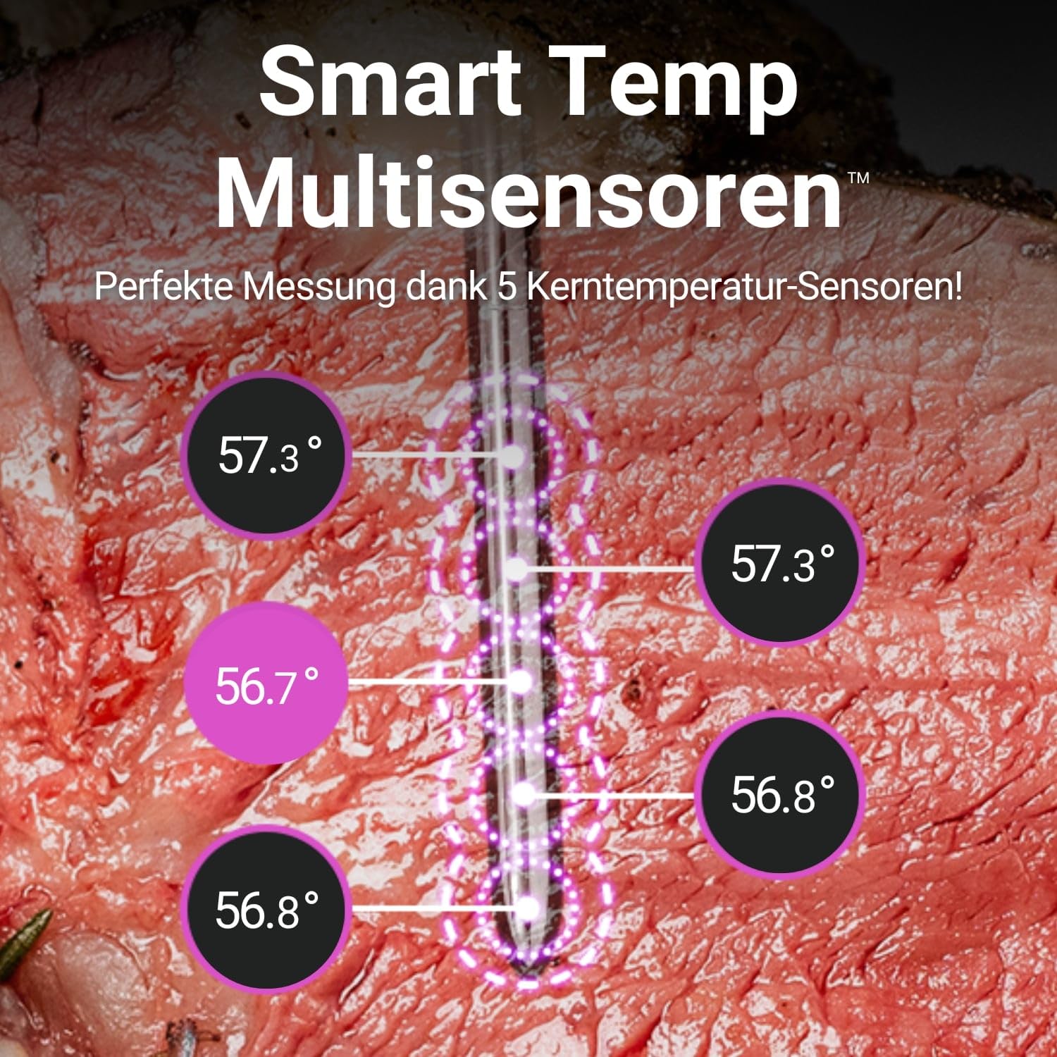 MEATER Pro / 2 Plus: Das Smarte Fleischthermometer der Nächsten Generation | Hitzebeständig bis 550°C | Hohe Reichweite, 100% Wasserdicht, Multi-Sensor Technologie | Küche, BBQ, und Grill