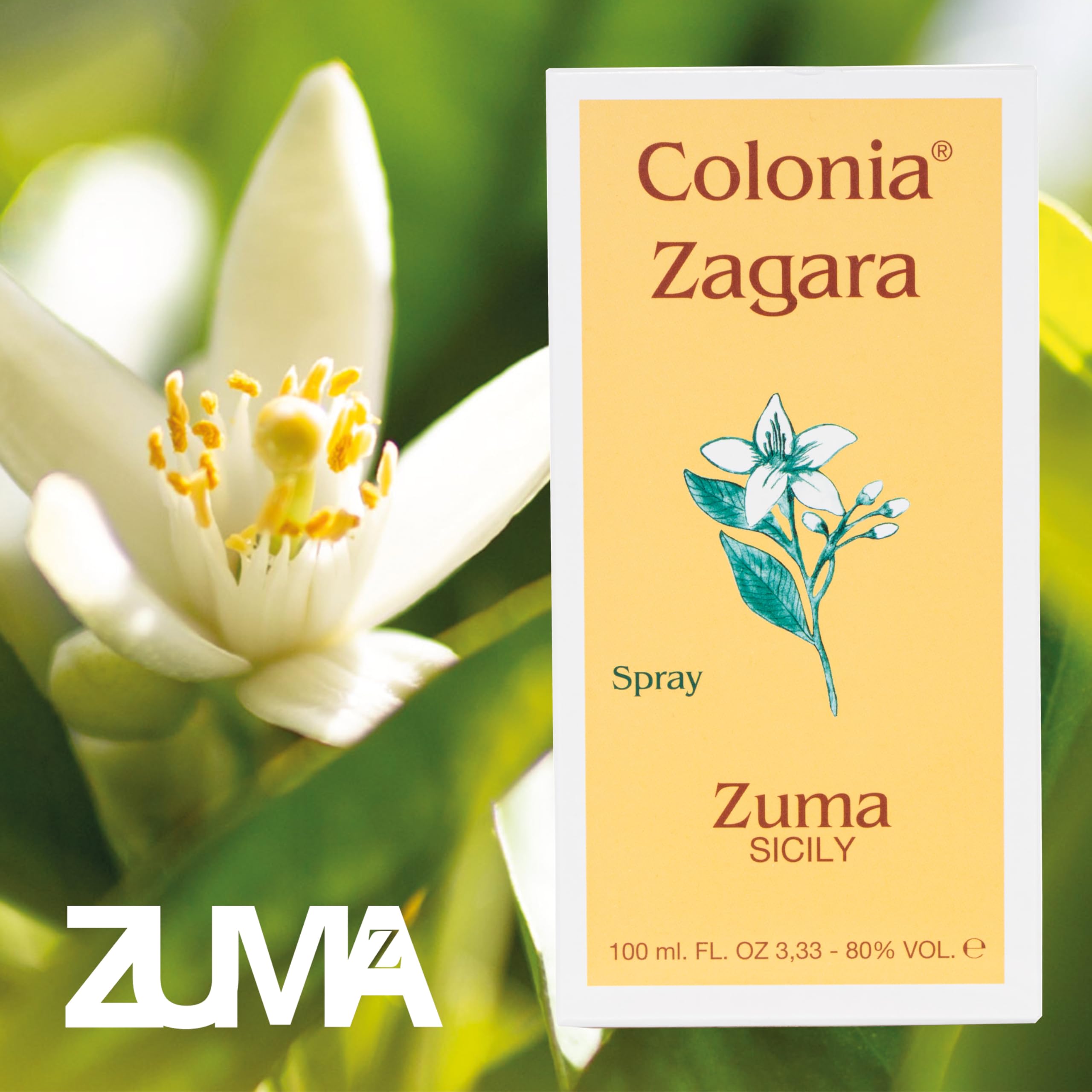 Profumi Zuma - Parfum Zagara Cologne Spray - La Fragrance Historique depuis 1943 qui Réveille la Fraîcheur de la Fleur d'Oranger Made in Sicily (Zagara Zuma 100 ml)