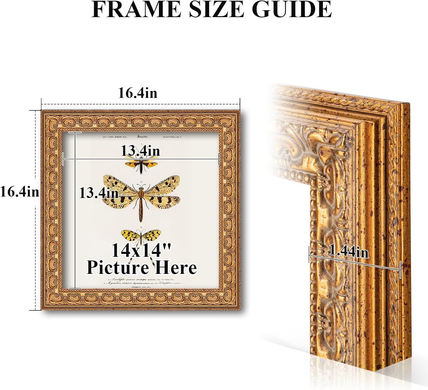 14x14 Ornate Vintage Gold Picture Frame - Single Frame, 14 x 14 Classic Poster Frame for Art Prints & Gallery Walls