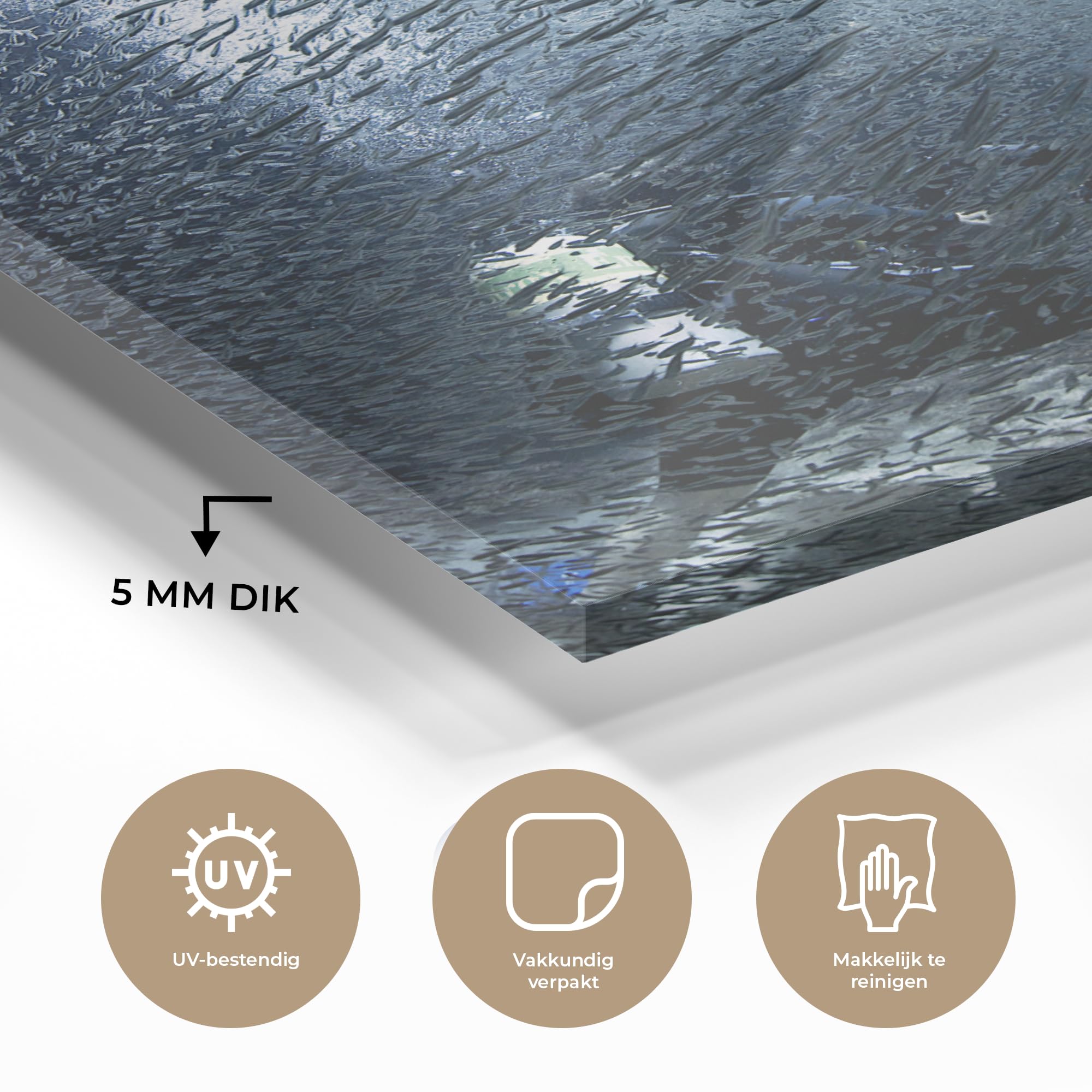 MuchoWow Glasbild Glasfoto Wandbild Bilder Deko 60x80 cm Taucher wird in den Höhlen vor Grand Cayman von Fischen überflutet