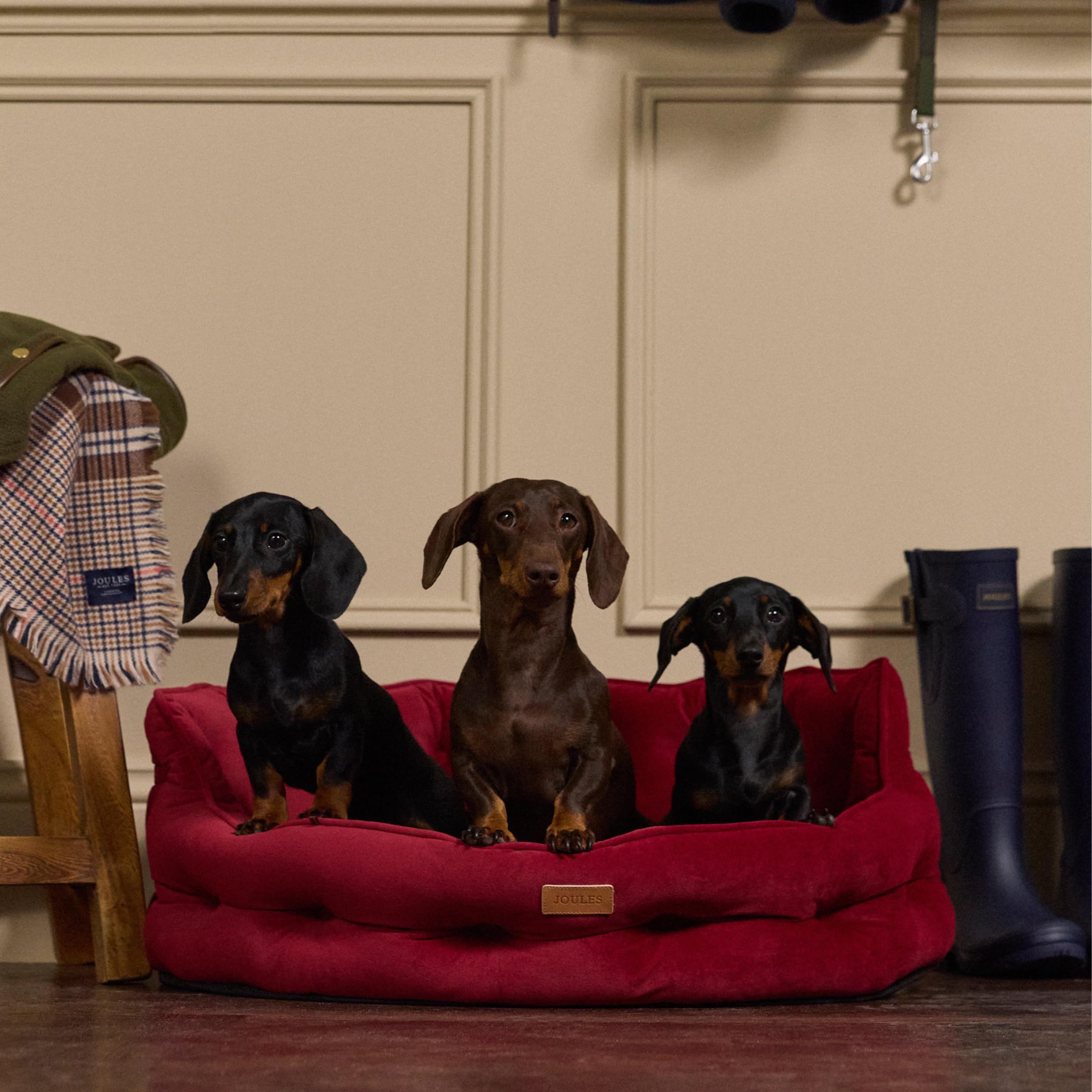 Rosewood x Joules - Cama Chesterfield para Mascotas, Grande, Cama de Terciopelo de Lujo para Perro con Base Antideslizante, Acolchado Adicional y cojín de Apoyo, diseño Elegante Inspirado en el sofá