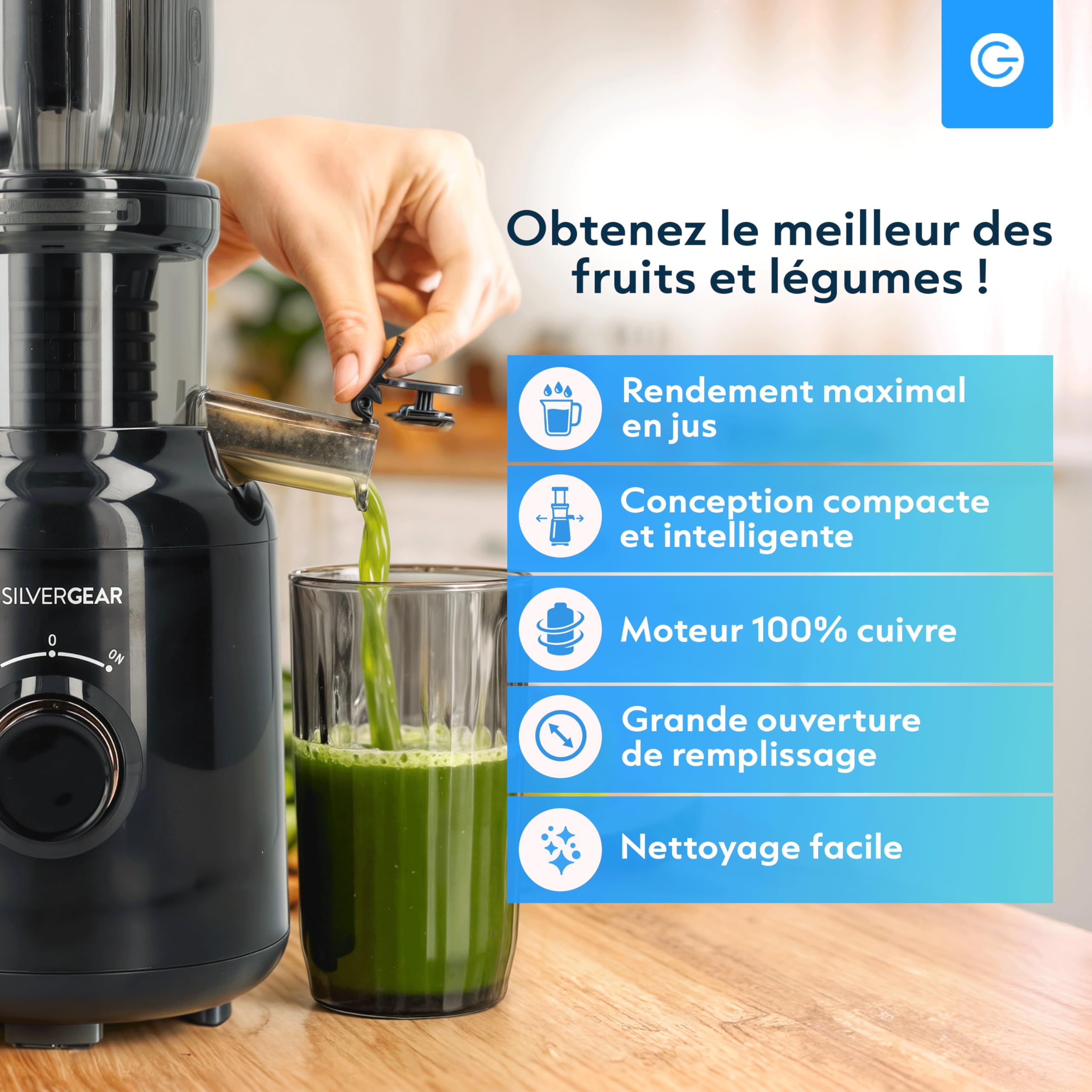 Silvergear Extracteur de Jus 250 W 60 tours/minute Goulotte 103mm Noir