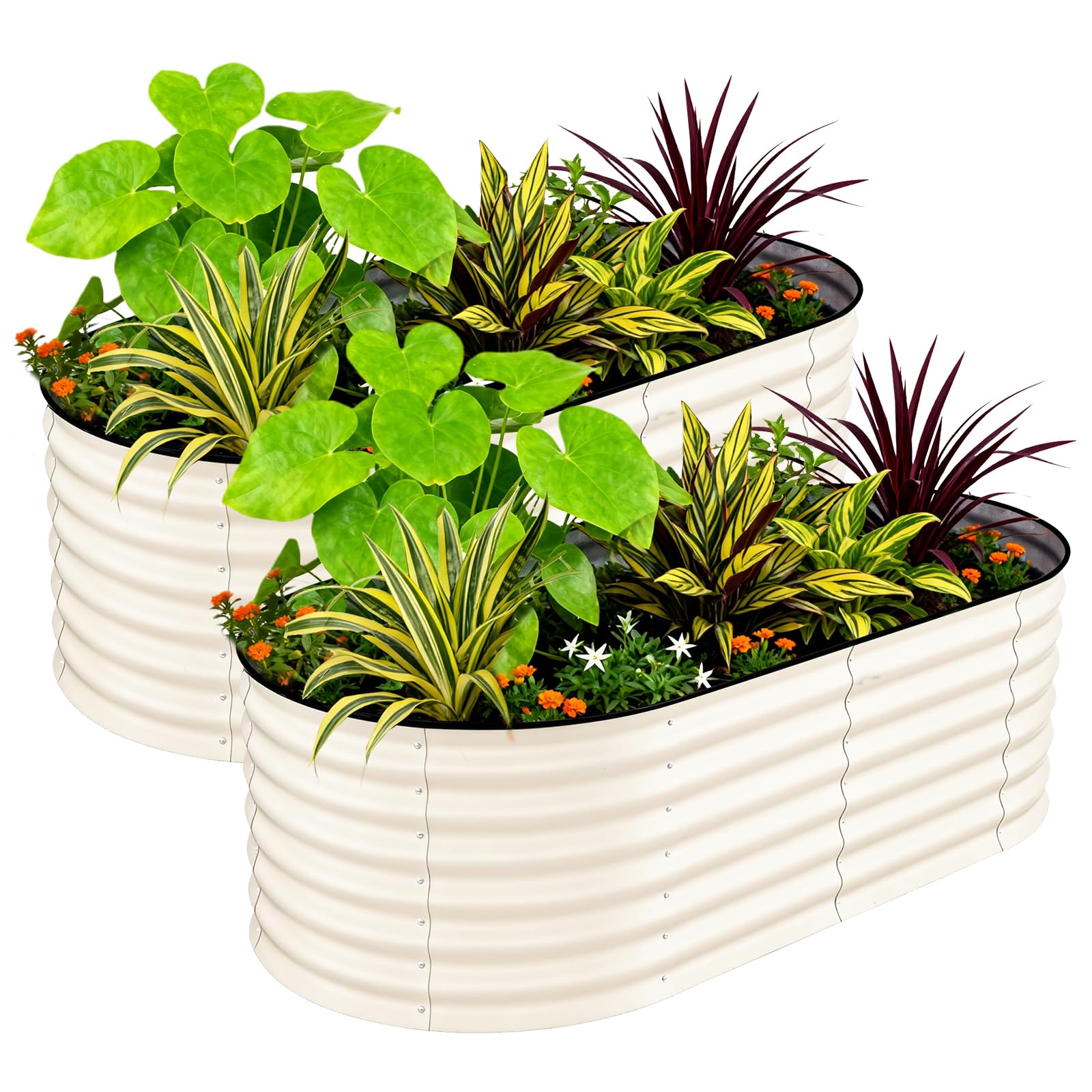 Aptliton 2 Pack Rust-Resistant Galvanized Raised Garden Beds, 180x90x60cm, Outdoor Metal Planter Boxes for Vegetables, Flowers & Herbs - Durable, Easy Assembly, Upgraded Anti-Cut Strips - Beige