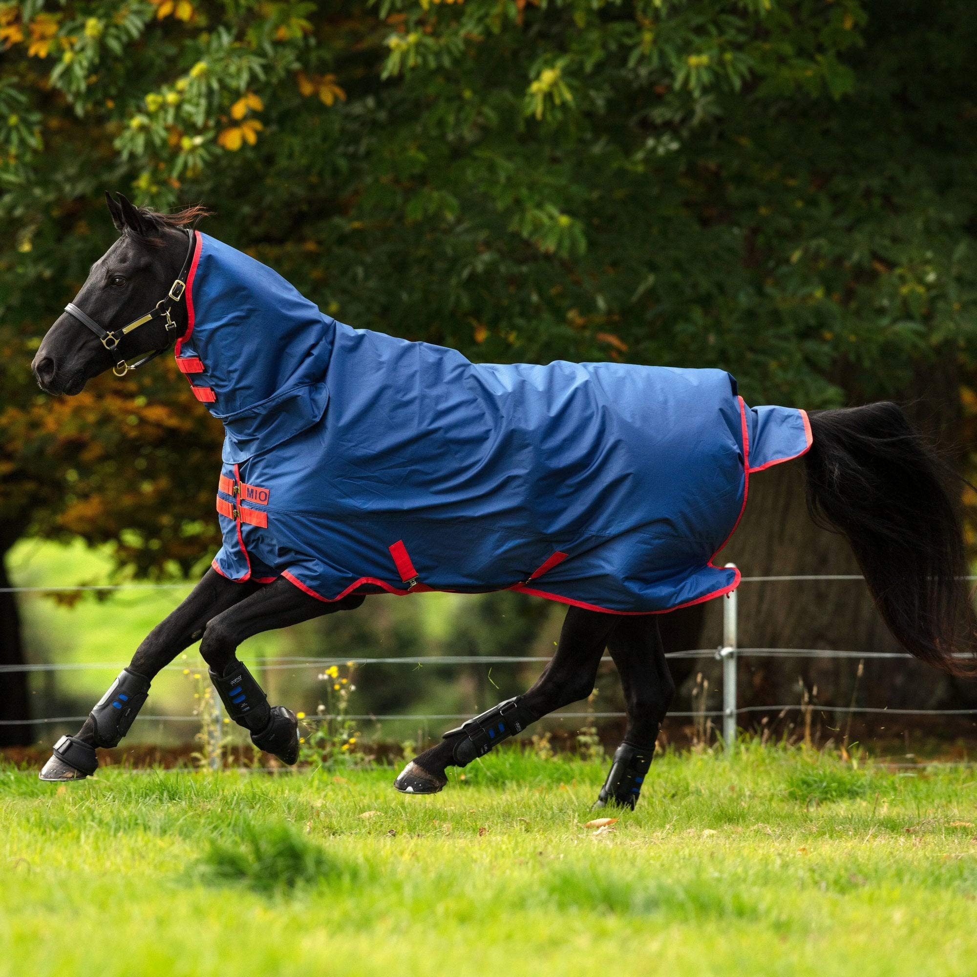 Horseware Manta para Caballos de Exterior Mio HVY 0g