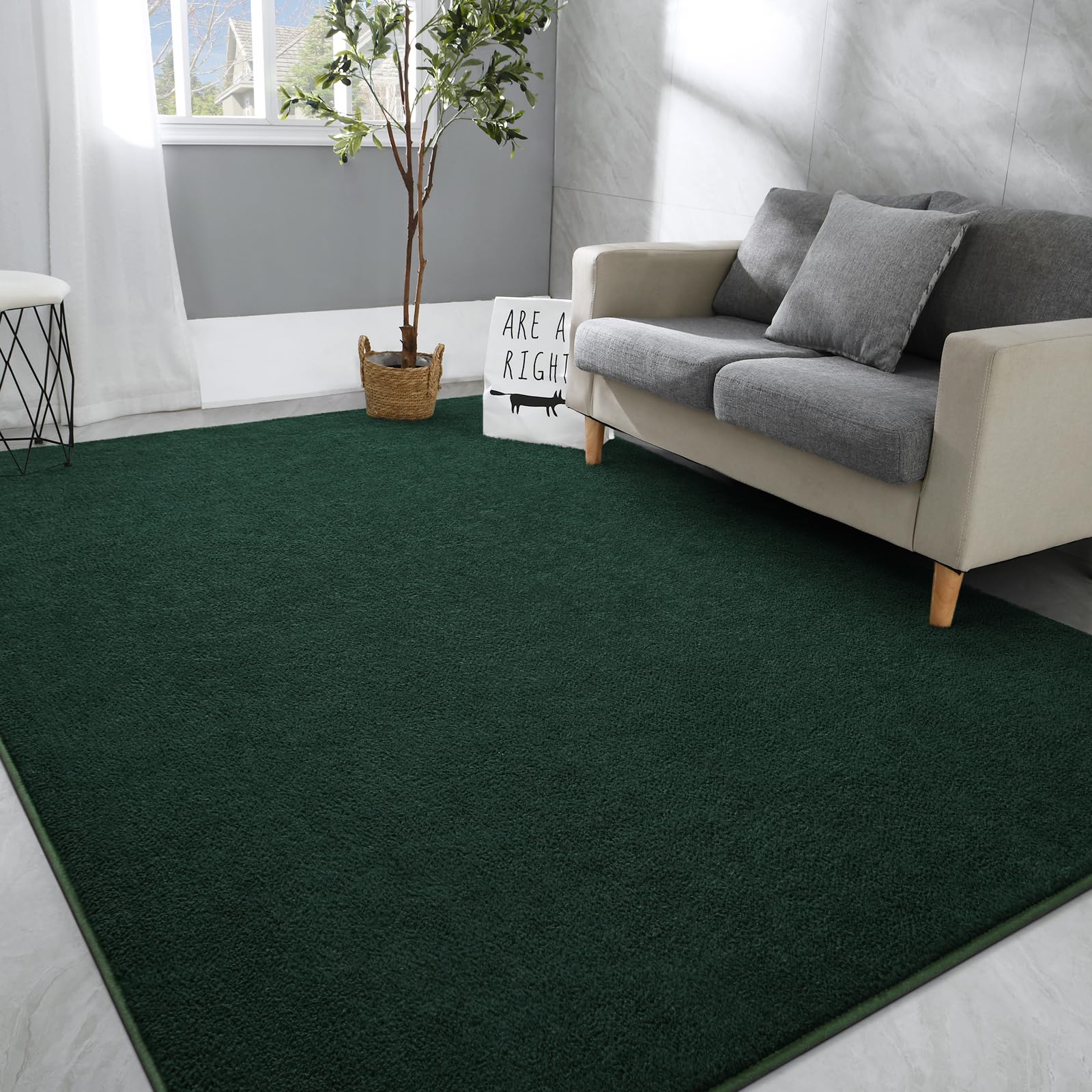 Hutha Large Area Rugs for Bedroom Living Room, 6x9 Dark Green Solid Fluffy Super Soft Memory-Foam Furry Bedside Carpets, Modern Indoor Floor Rug