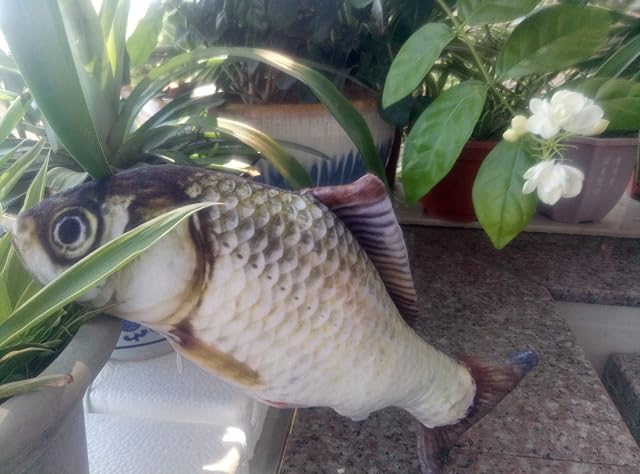 Foto 2 de 7 de Maibar Juguetes para Gatos 3D Pescado Juguetes Gatos Inteligencia Mariposa Gatos Hierba gatera Interactivo…