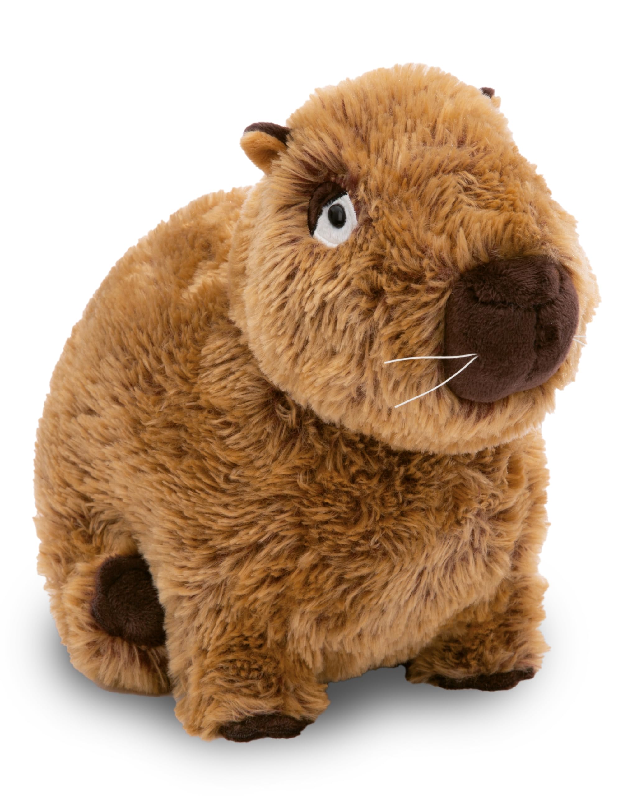 NICI Capybara cuddly toy Capy-Barbara 27cm sitting - cute soft stuffed animal, perfect for hugging, collecting & gifting to children & adults - 61223