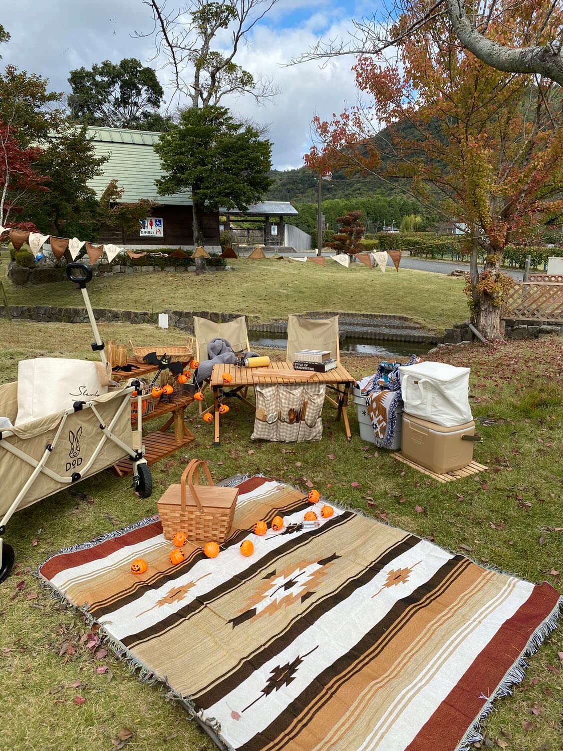Peel Forest Couverture de glamping - Tapis de camping aztèque tribal - Jetés pour la maison et l'extérieur - Vanlife - Pique-nique (127 x 152 cm)
