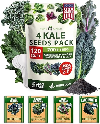 Miniatura 37 de HOME GROWN 12 semillas de vegetales de otoño, más de 6,000 semillas de reliquia para plantar en otoño e invierno, remolacha, brócoli, repollo, col