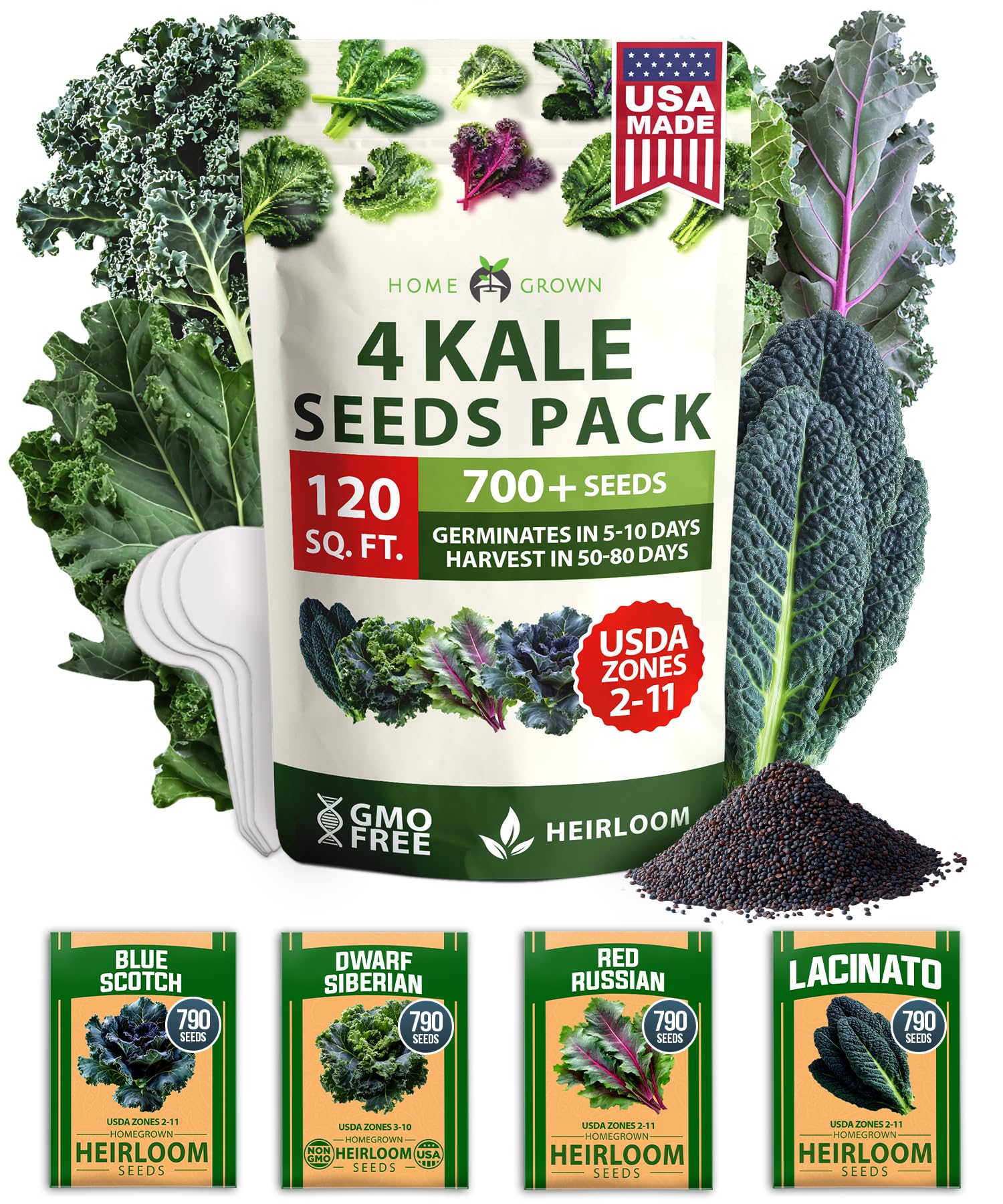HOME GROWN 4 Kale Heirloom Vegetable Seeds for Planting Home Garden, Beans, Carrots, Peppers, Cucumber, Kale, Pepper Seeds, Tomato