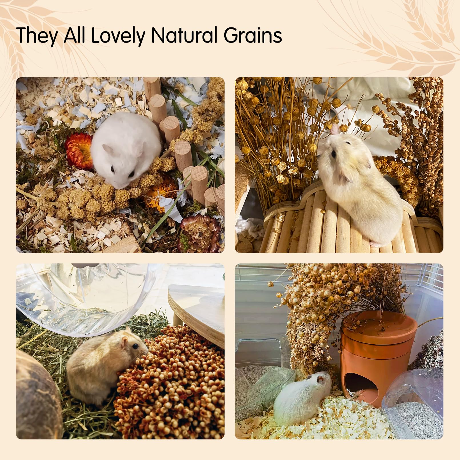 Diy Hamster Cheap Bedding For Hamsters Hamster Toys Sukh Hamster