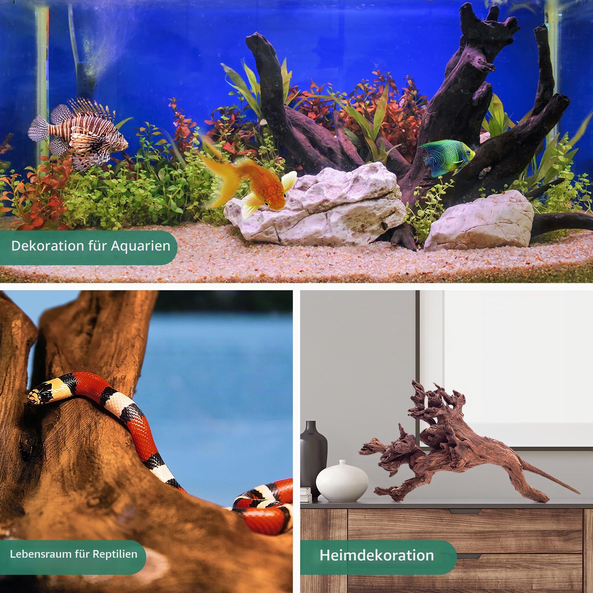 WDEFUN Natürliches Treibholz für Aquarium-Dekoration, 1 Stück, 33-43 cm, großes Treibholz für Dekorationen an Aquarien, Reptilien, Bartdrachen oder Luftpflanzen
