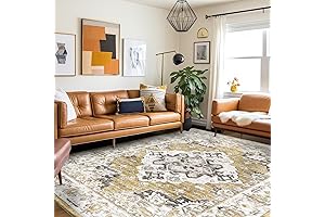 Vamcheer 9x12 Classroom Rug for a Colorful Learning Environment