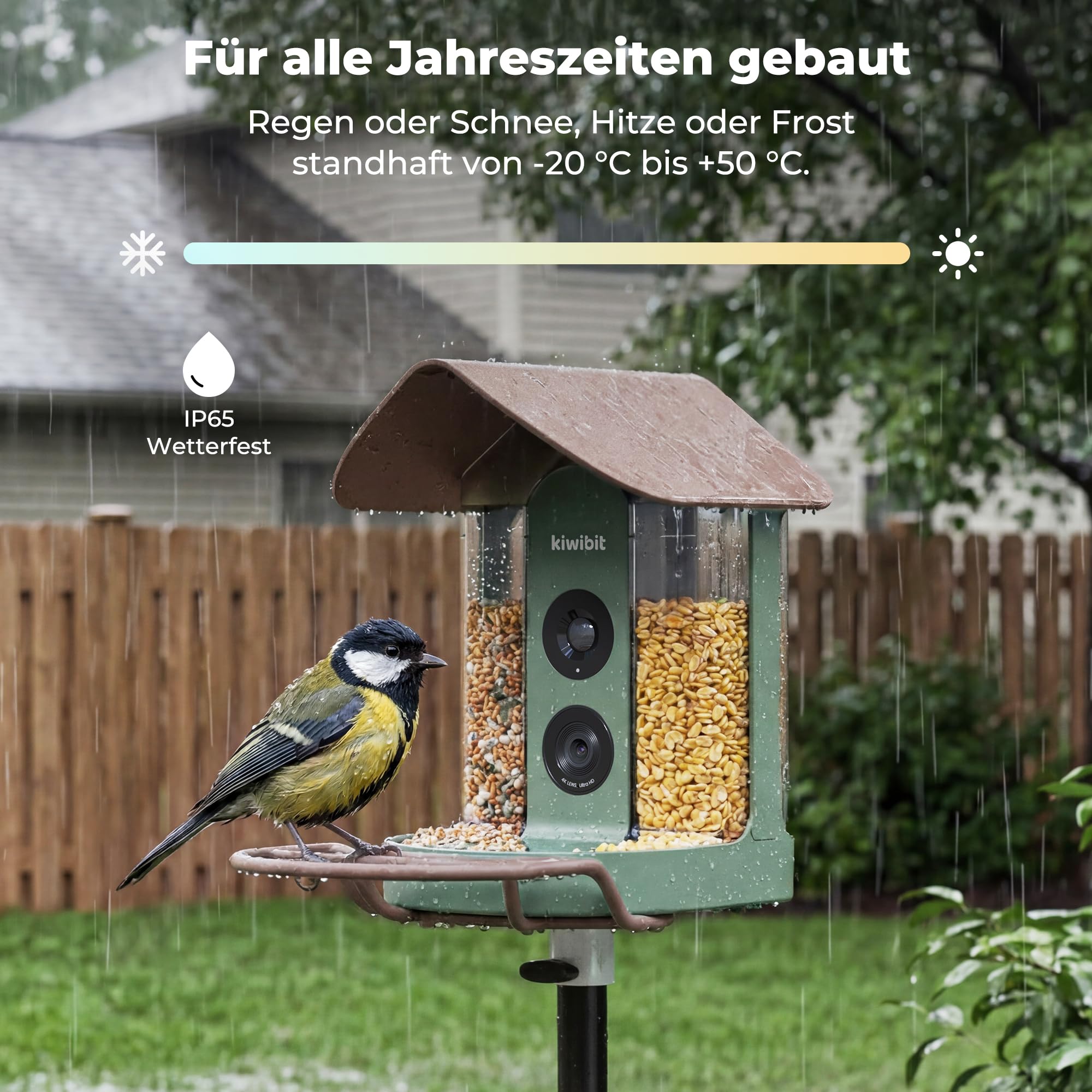 Kiwibit Smart Vogelhaus, 4K Kamera, KI-Erkennung ohne ABO, Mit Solarpanel | Live-Ansicht, KI-Vogelerkennung ohne Abo, Echtzeit-Alarm, 8MP Fotos und Nachtsicht