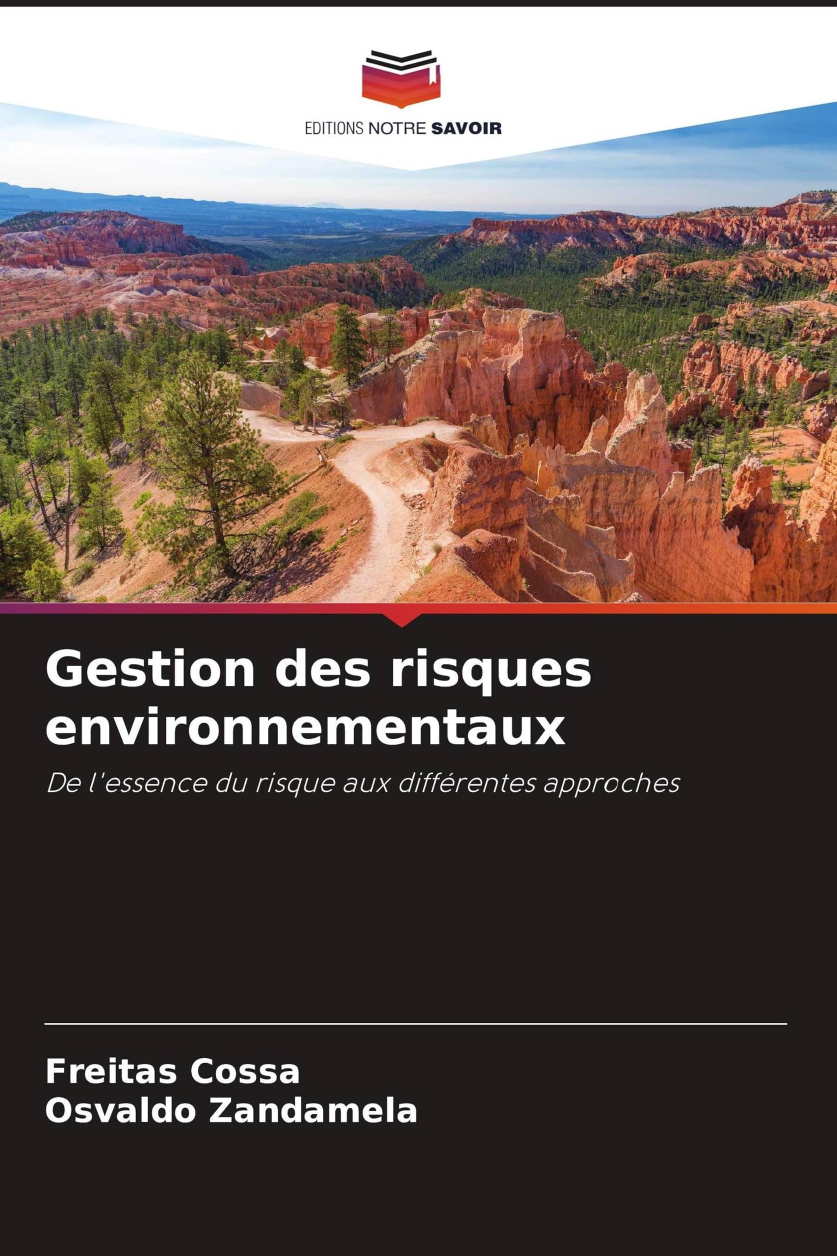Gestion des risques environnementaux: De l'essence du risque aux différentes approches