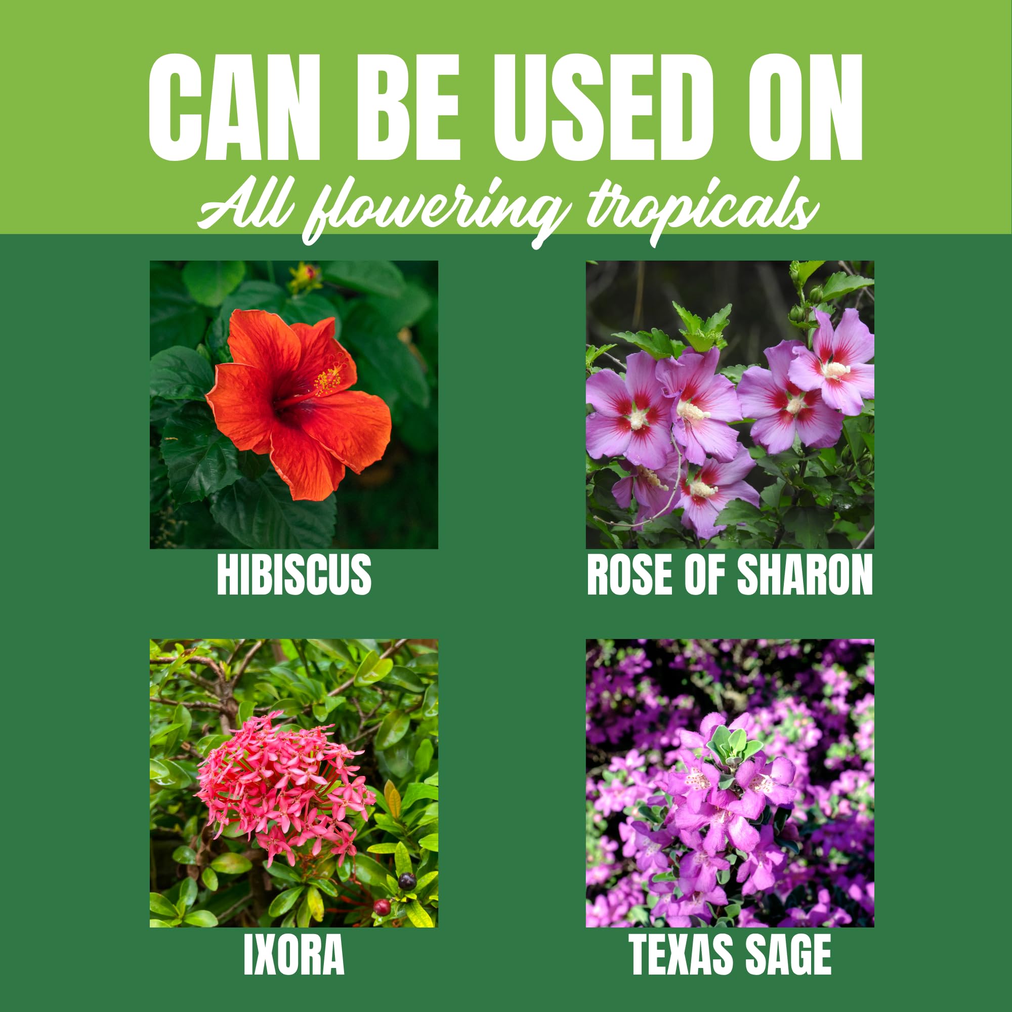 NELSON PLANT FOOD NutriStar Hibiskus und blühende Tropicals im Bodenbehälter, für drinnen und draußen, Granulat-Dünger, 0,9 kg