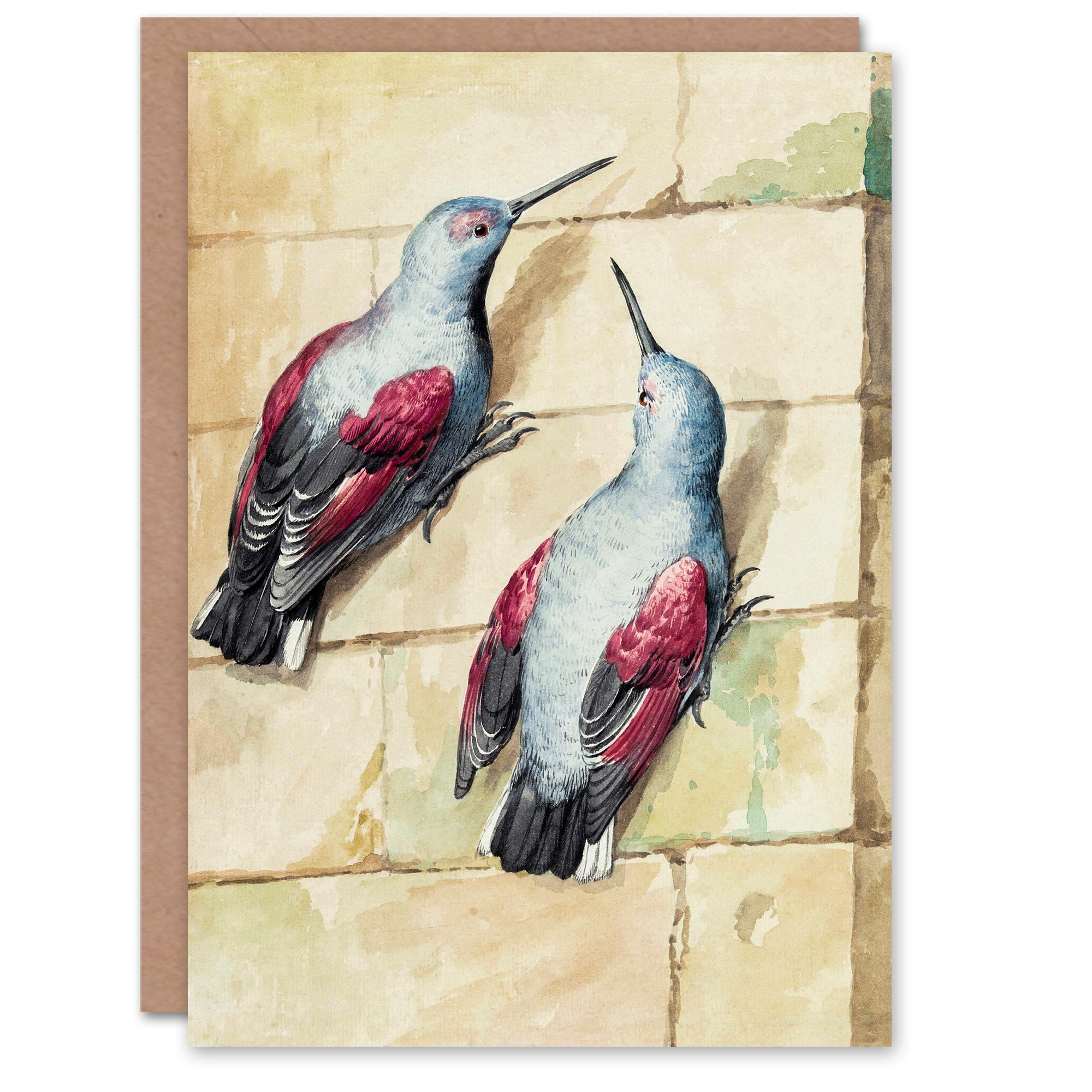 Artery8 Aert Schouman Art Card Two Wallcreepers Watercolour Painting