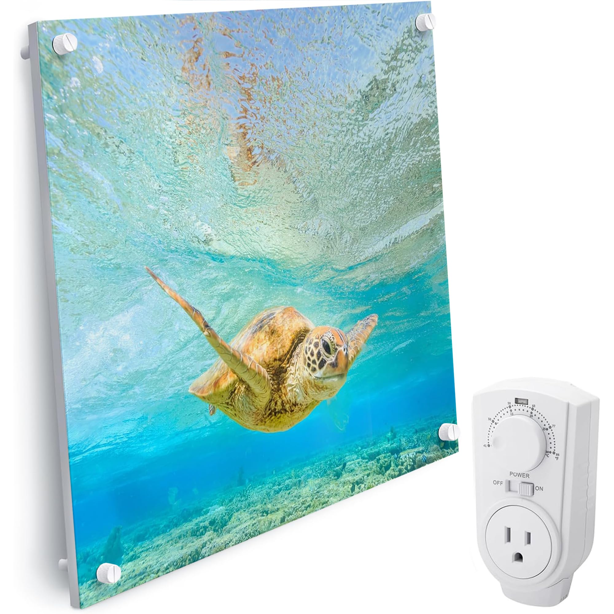 EconoHome Wall Mount Panel Heater