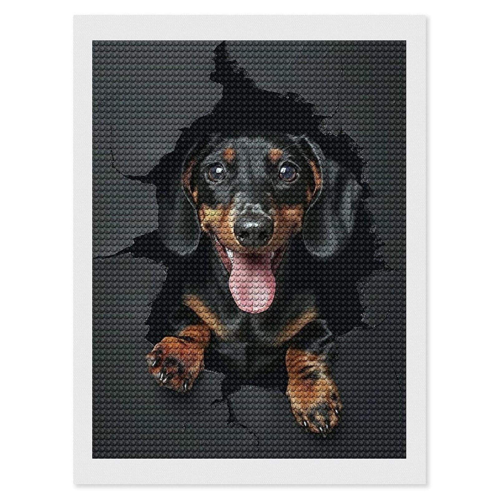 Junmoney Dachshund Dog Diamond Art Kit 12"x16", Holiday Gift Idea, for Women, Easy Handmade Project, Vintage Style Decor, Printed Canvas
