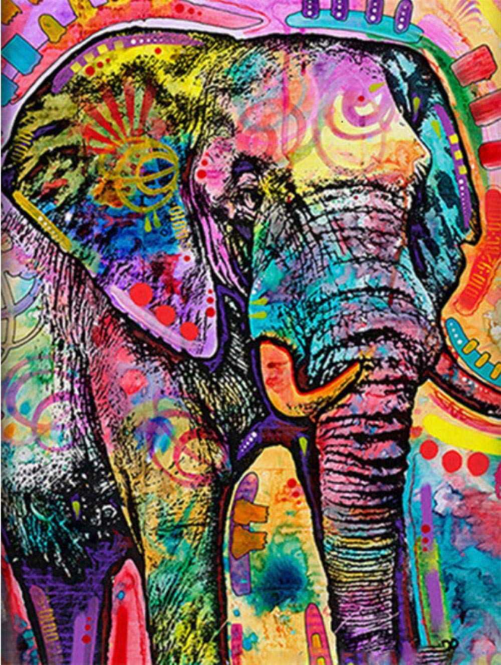 Peinture par numéro éléphant kit complet 40x50cm sur toile décorative