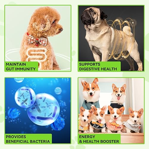 Miniatura 5 de Probiótico para perros, paquete de 2 gotas probióticas naturales 3 en 1 para perros que ayudan a aliviar la diarrea y malestar estomacal, apoya el