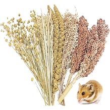 Fhiny Natural Hamster Sprays Edible Hamster Bedding Air-Dried Grain Set for Habitat Decor Mice Cage Accessories for Gerbils Lemmings Parrots Rats and Other Small Animals0.4lb