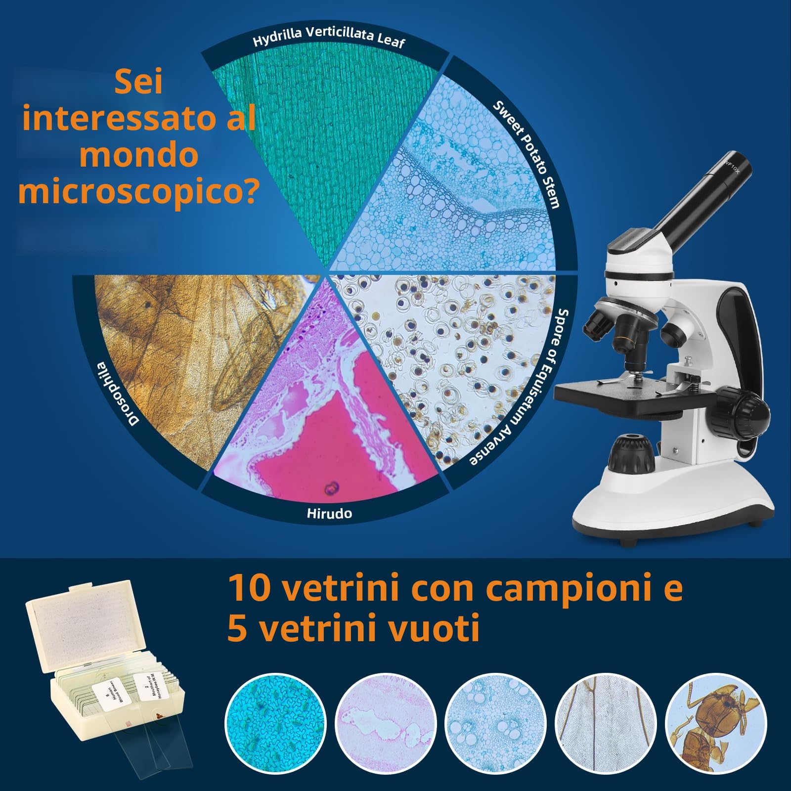 BEBANG 40X-2000X Microscopio per bambini adulti, microscopio per studenti a doppia illuminazione a LED con kit scientifici per la ricerca in laboratorio, l'istruzione a casa,Microscopio professionale