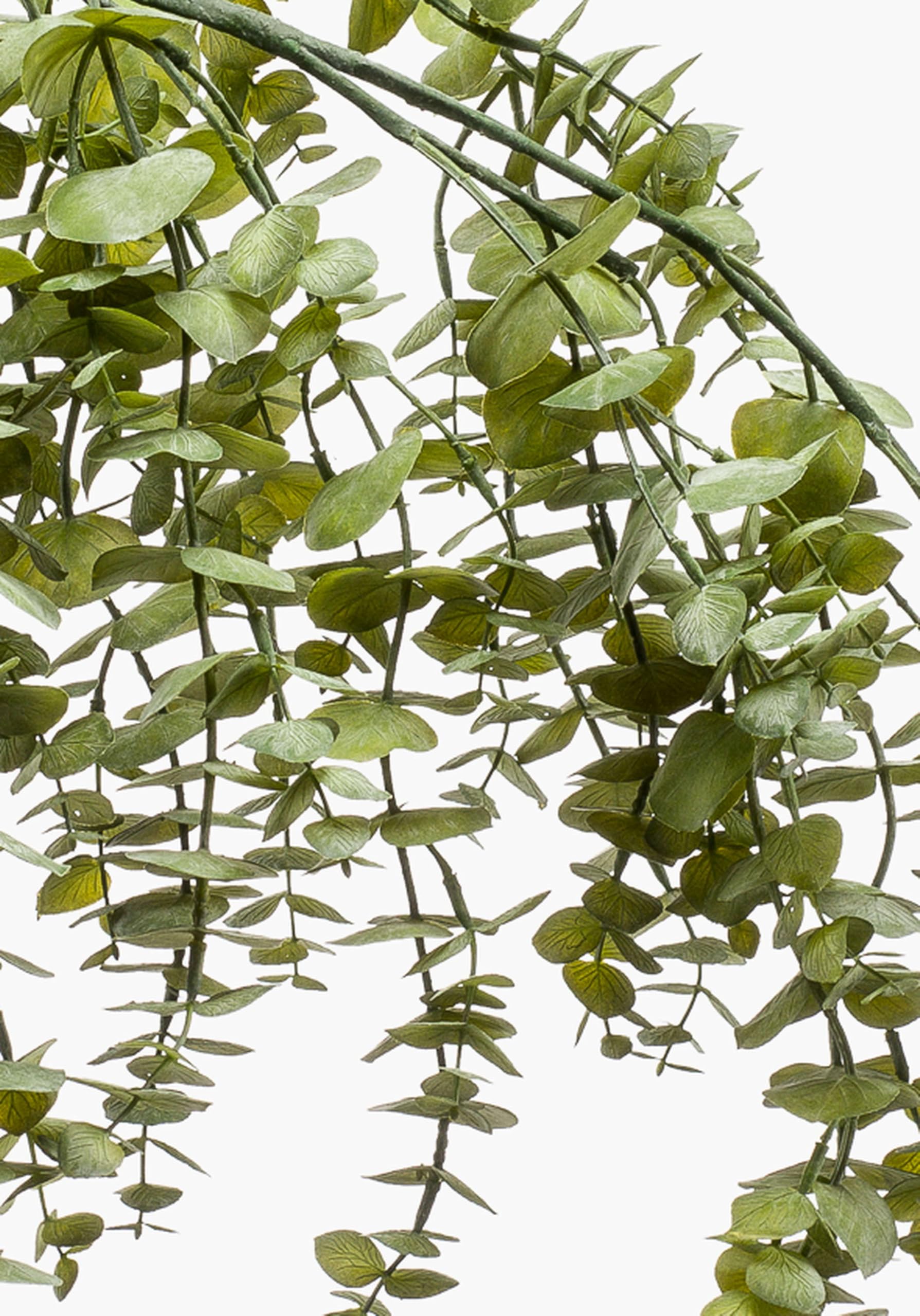 artplants.de Sztuczna gałązka eukaliptusa PINORO, zielona, 120 cm