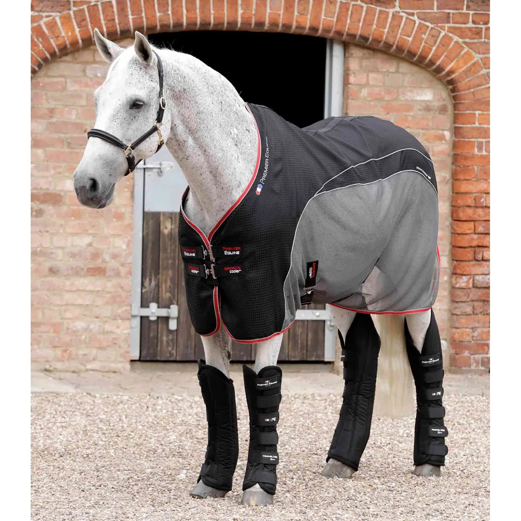 Premier Equine Botas de Transporte para Caballos Travel-Tech Xtra