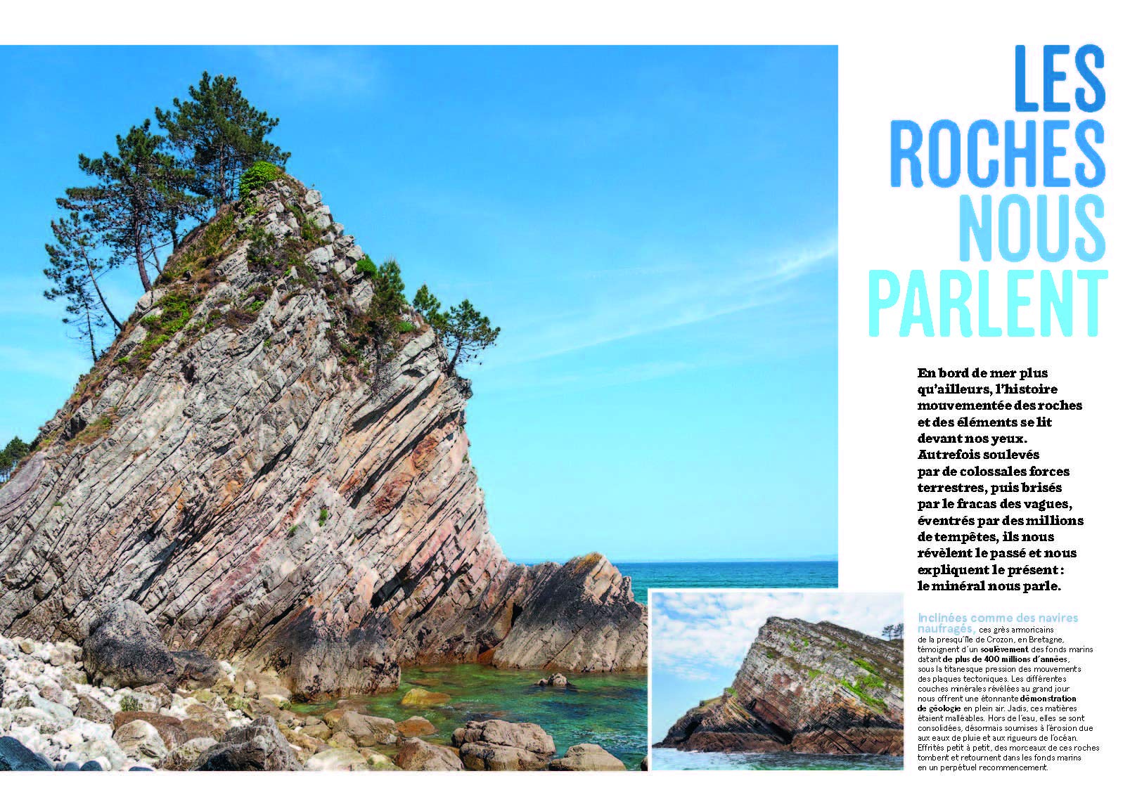La Nature en bord de mer