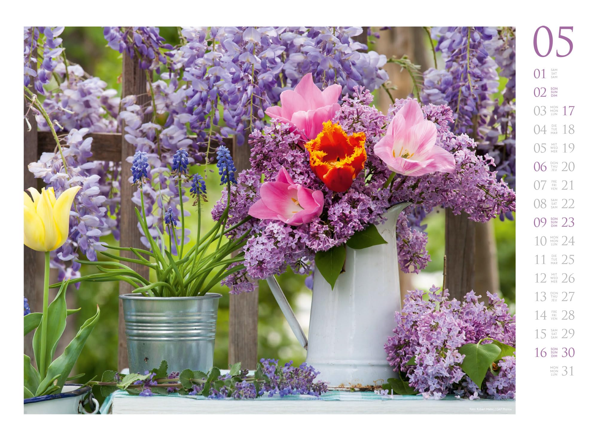 Blumenzauber Kalender 2027: Farbenfroher Blumen-Kalender im Querformat (45x33 cm) | Für Florist:innen und Garten-Fans