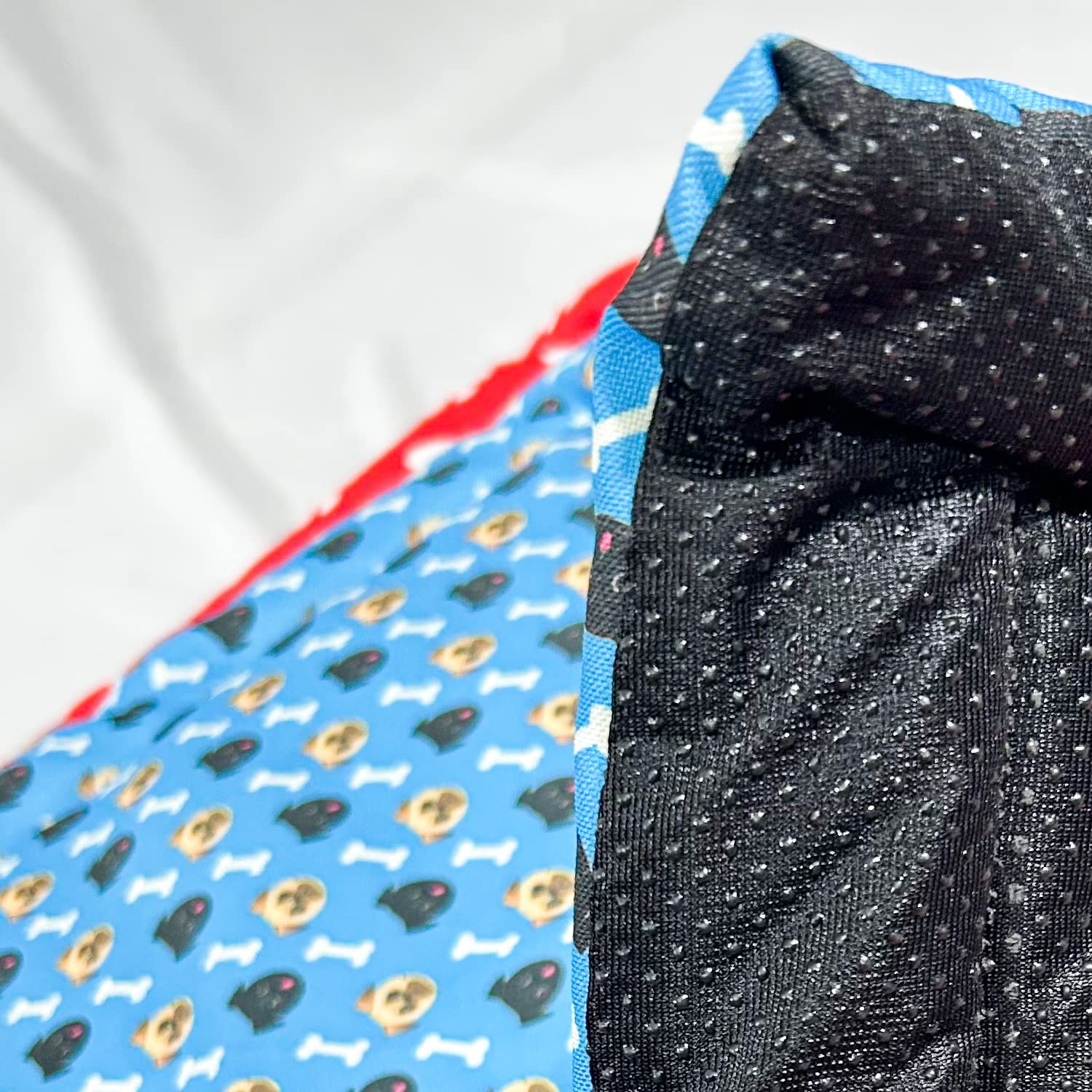 Midwest Dog & Cat Matterss Comfy Medium Size Bed Soft, Light, Quirky Prints Suitable for Small Breed & Medium Size Dogs | Length 34 Inch(86 CM) * Width 22 Inch(57 CM) 2