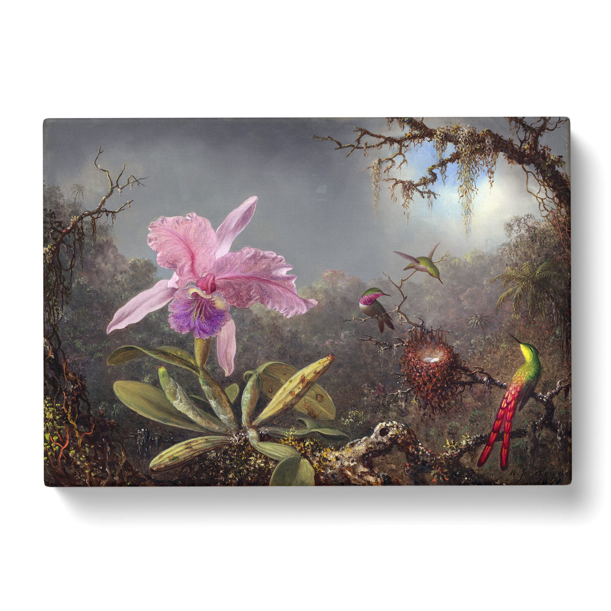 Cattleya Orchid And Hummingbirds By Martin Johnson Heade Canvas Print, Mixed, 25L x 50W cm - Image 3