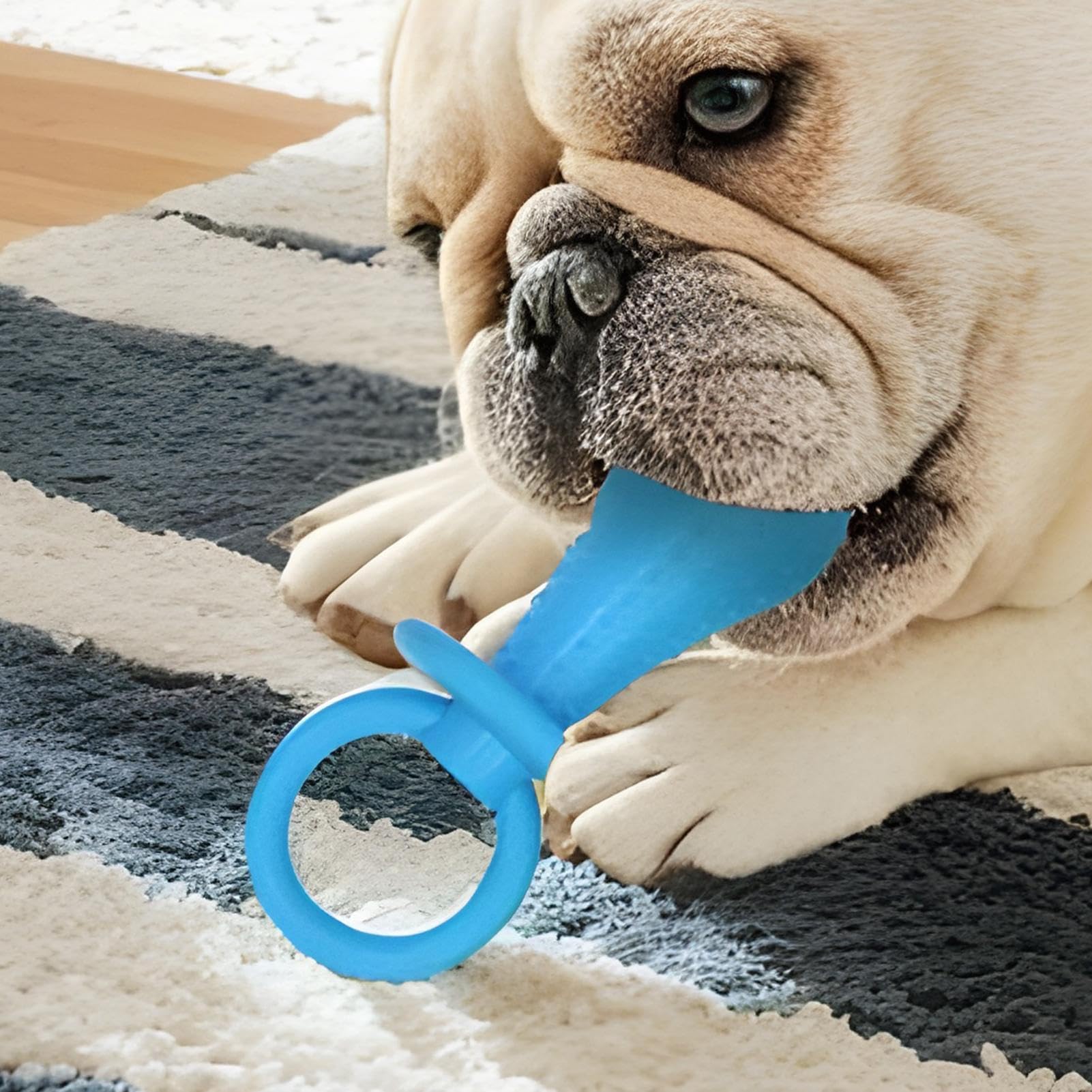 Hund Schnuller Kauknochen Stillimitat Beißring Kauartikel | Sicherer interaktiver Beißring für Spiel und , für Zuhause, Reisen, Innen- und