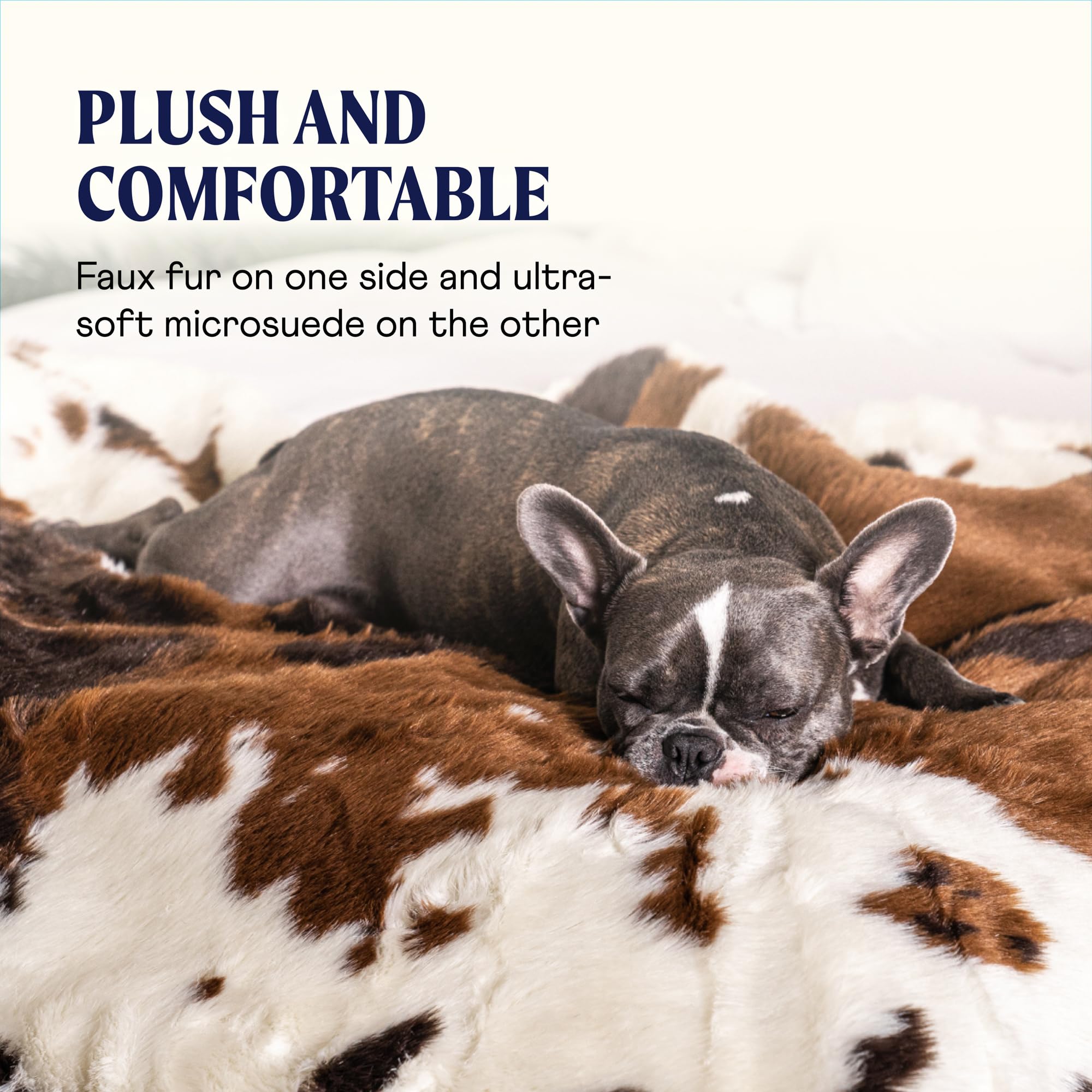 PAW BRANDS PupProtector Couverture imperméable pour Chien – Couverture en Peluche Douce Qui protège Le lit, Le canapé ou la Voiture Contre Les déversements, Les Taches, Les Rayures ou Les Poils