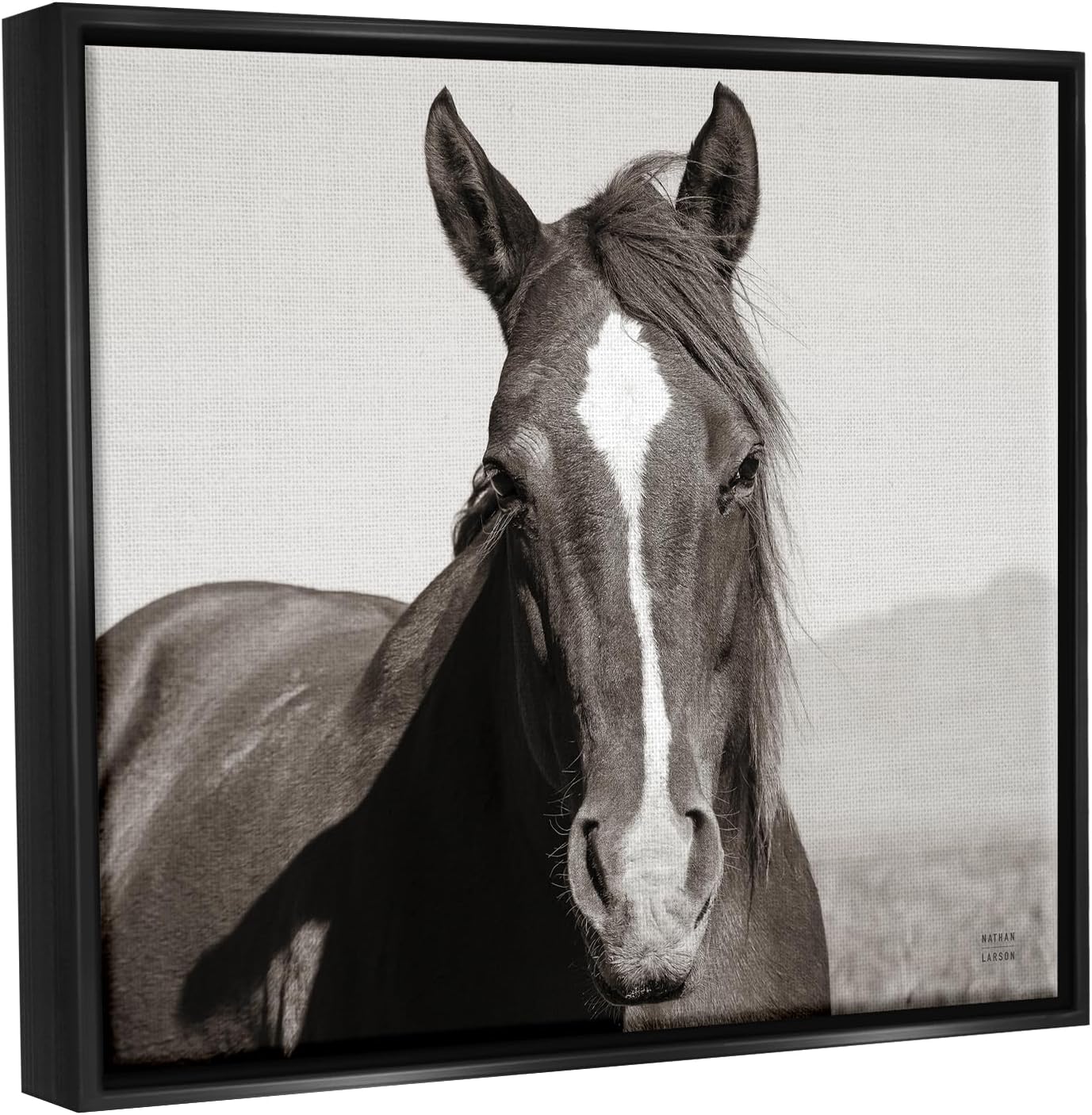 Stupell Industries Windblown Stallion Portrait Black Framed Floater Canvas Wall Art Design by Nathan Larson