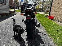 Review Image by Amazon Customer