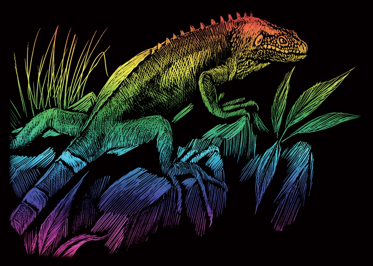 Diamante Crafts Engraving Art Scraper Foil Kit - Mini A5 - Silver Gold Rainbow Copper -24 Design (Rainmin105 - Iguana)