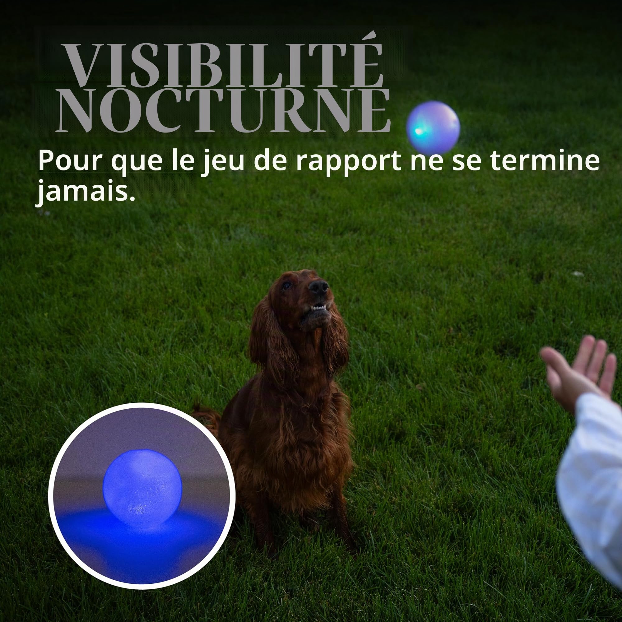 Planet Dog Balle pour chien Strobe - en Orbee-Tuff - éclairage LED - bleu