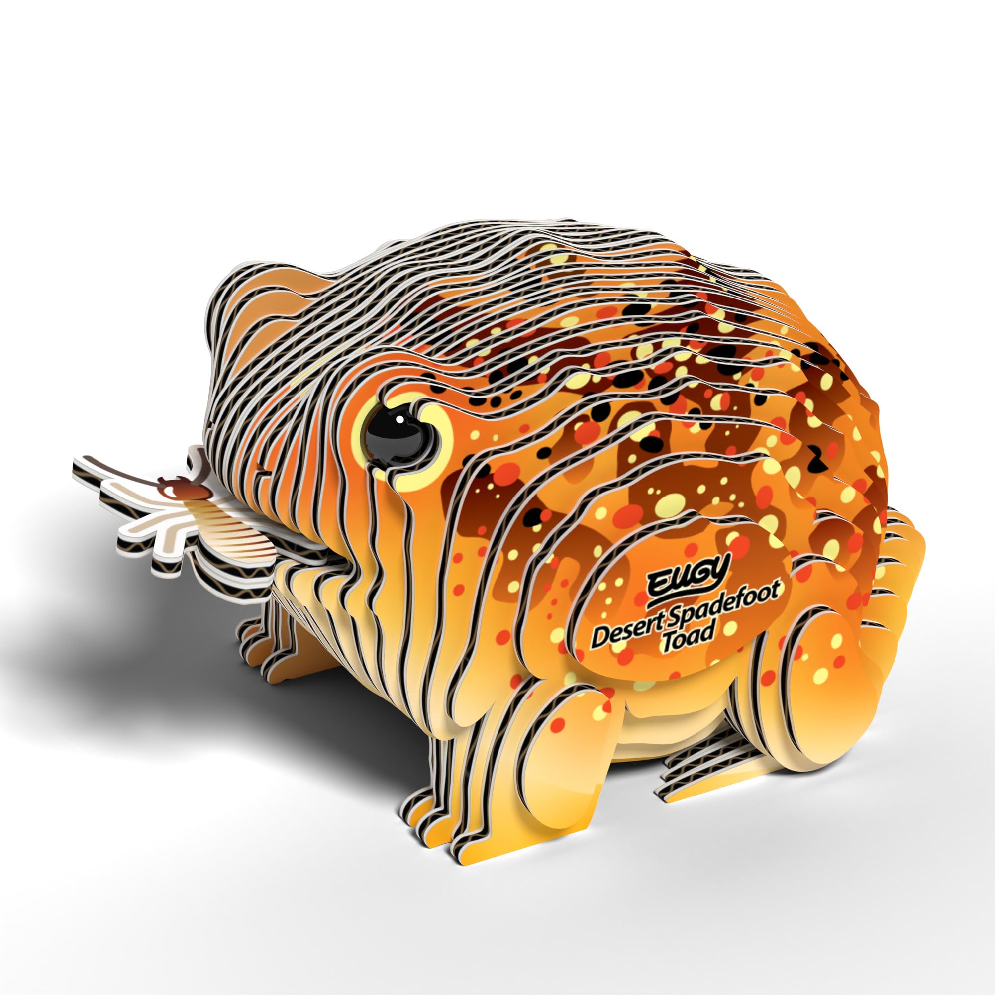 EUGY Desert Spadefoot Toad 3D Model Craft Kit, 5.7 x 4.8 x 4.1 cm - Image 2