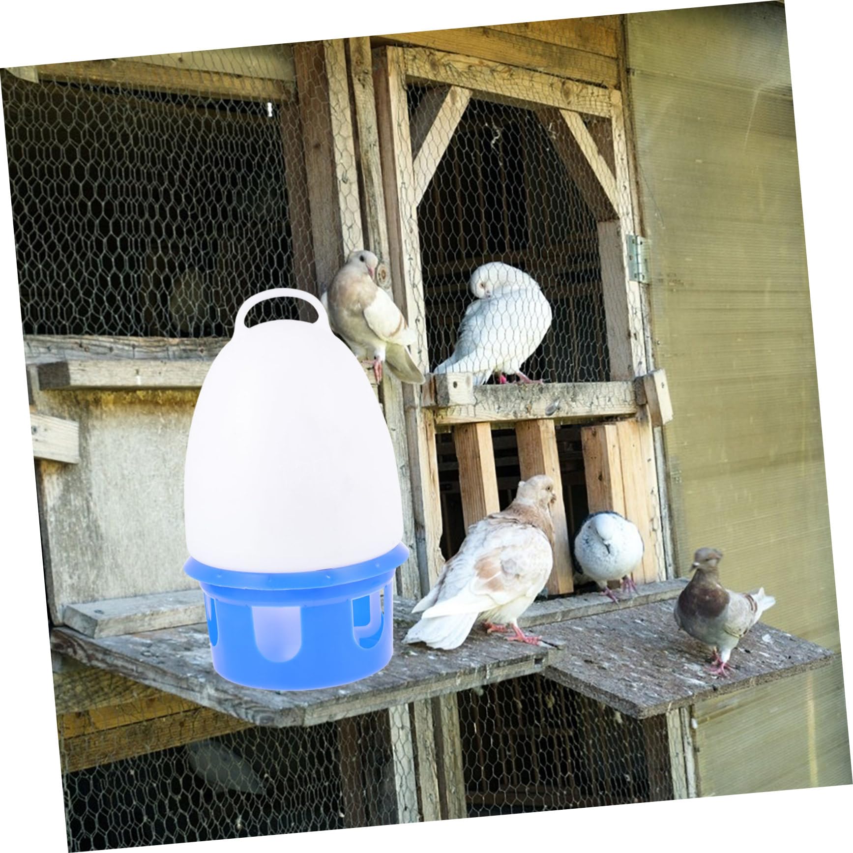 Abreuvoir pour Pigeons en PVC Bleu, Modèle Rond, Simple à Utiliser