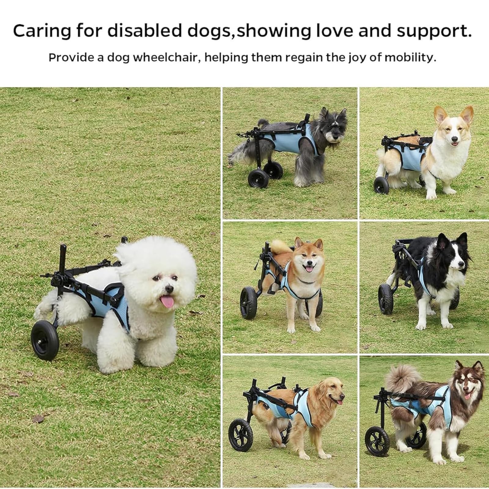 Silla de ruedas para perros – Ayuda de movilidad ajustable de doble rueda para perros discapacitados y ancianos