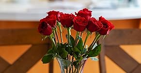 Review Image by Ron Ron