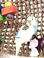 Vista 5 de Penn-PLAX Bird-Life - Alfombrilla de hierba marina tejida naturalmente para pájaros, ideal para jugar, escalar y hacer ejercicio, cuerdas de algodón