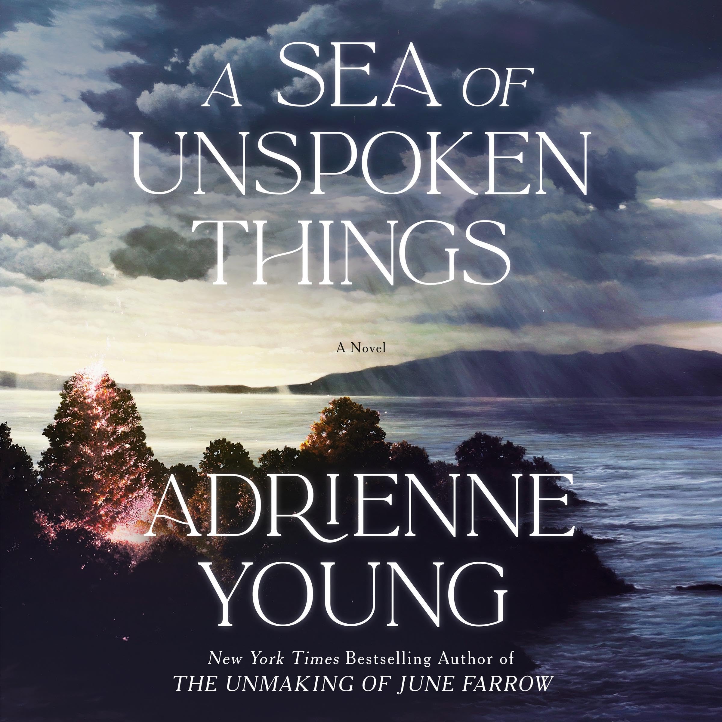 A Sea of Unspoken Things: A Novel